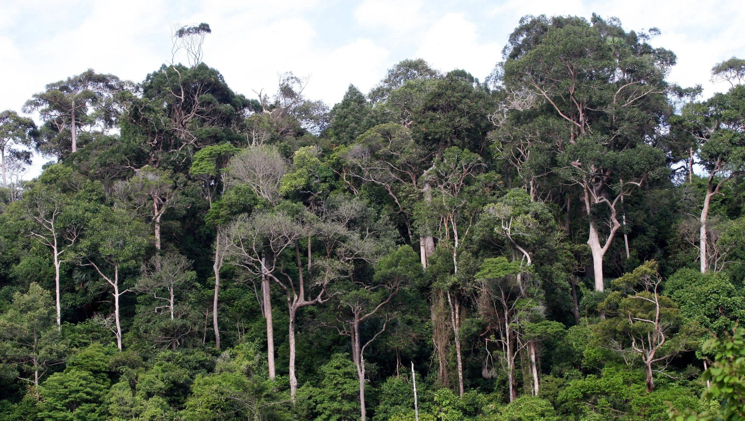 KOH LANTA - 2008 - NATIONAL PARK.JPG