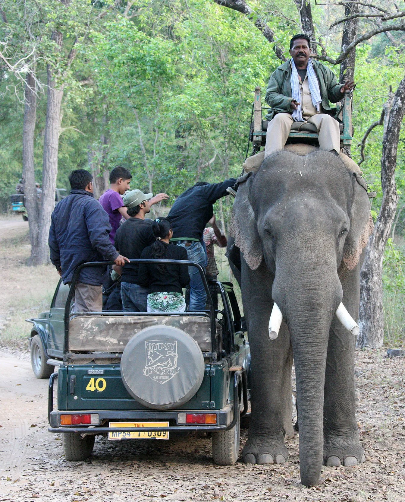 MADHYA PRADESH - BANDHAVGAR NATIONAL PARK MADHYA PRADESH INDIA (15).JPG
