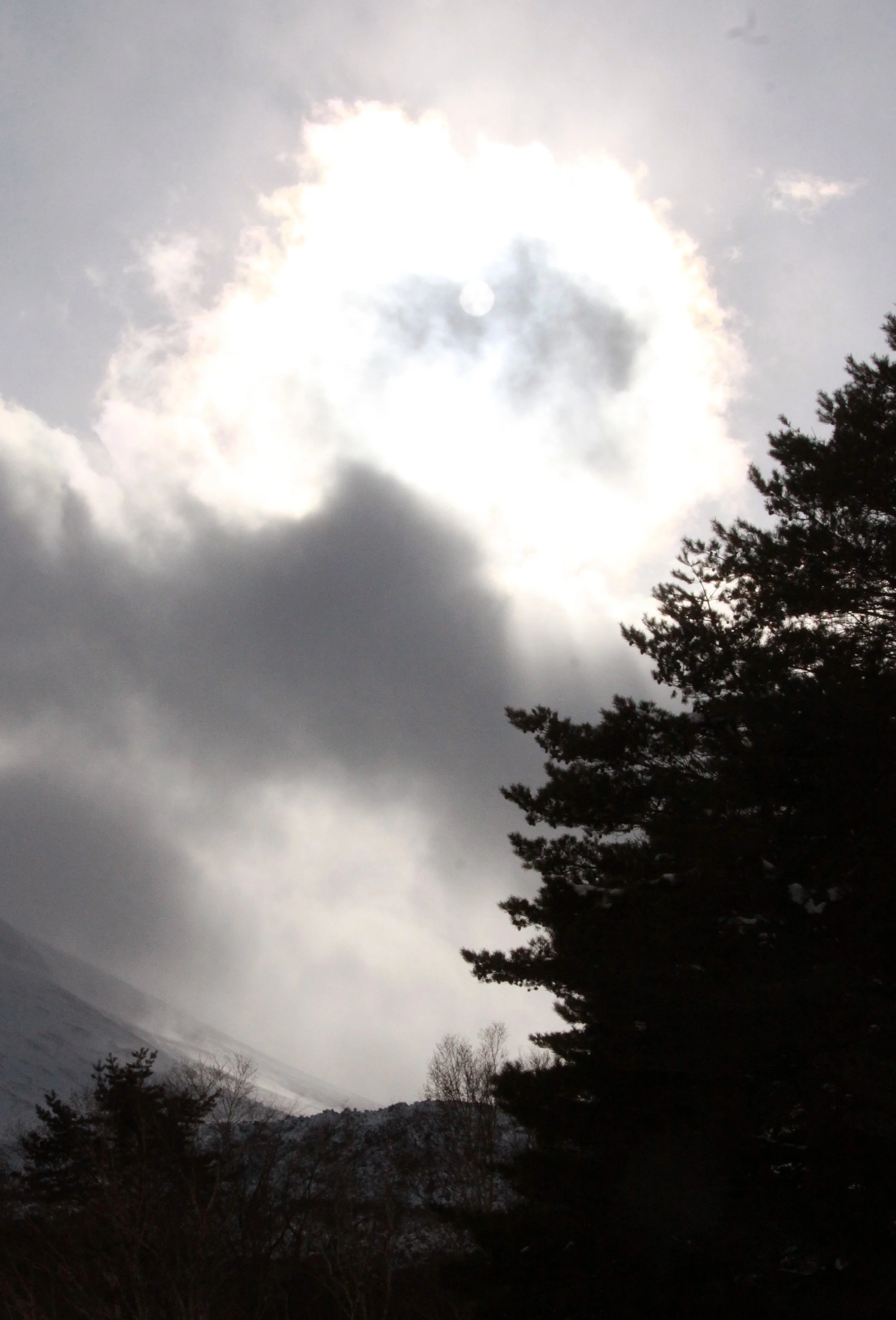 MOUNT ASAMA - JOSHIN'ETSUKOGEN NATIONAL PARK JAPAN (27).JPG