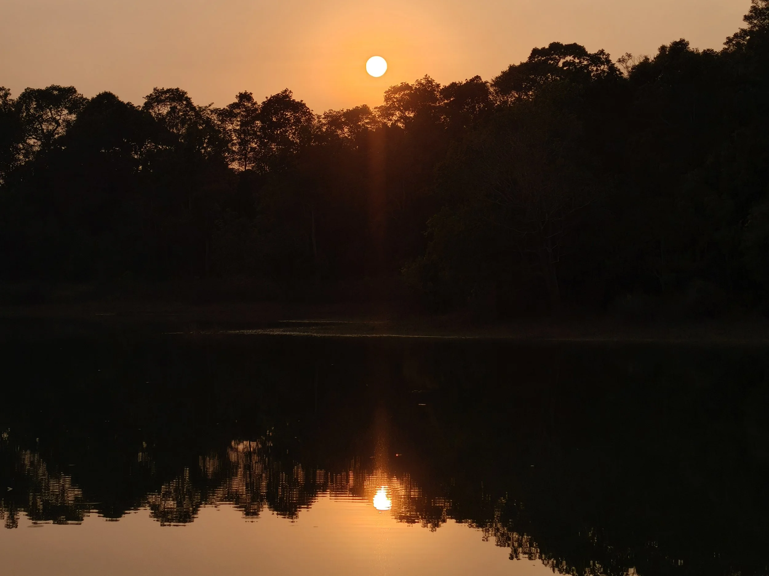 Khao Yai National Park, Thailand (211).jpg