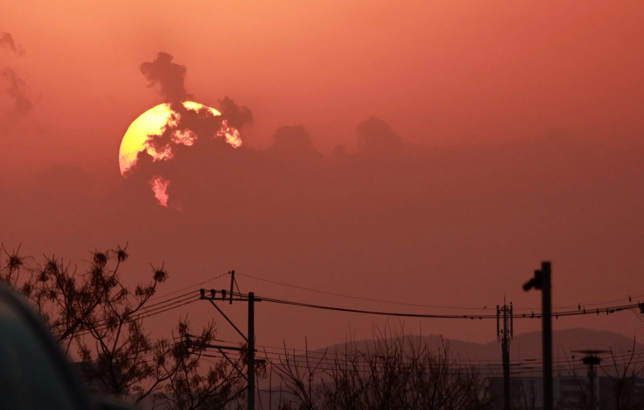 Fukuoka Japan (6).jpg
