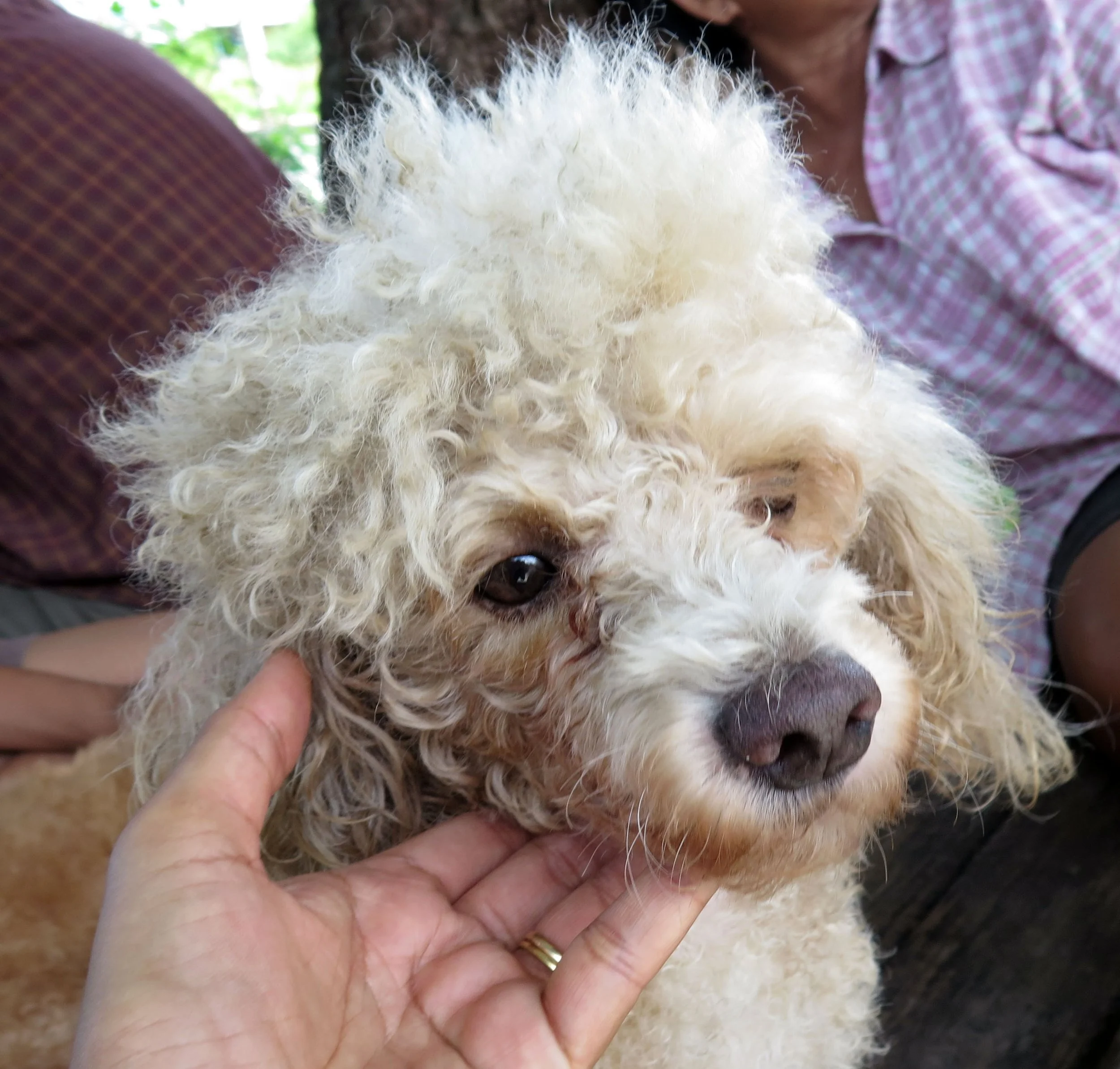 2014 Nakhonsithammarat with Family (57).JPG