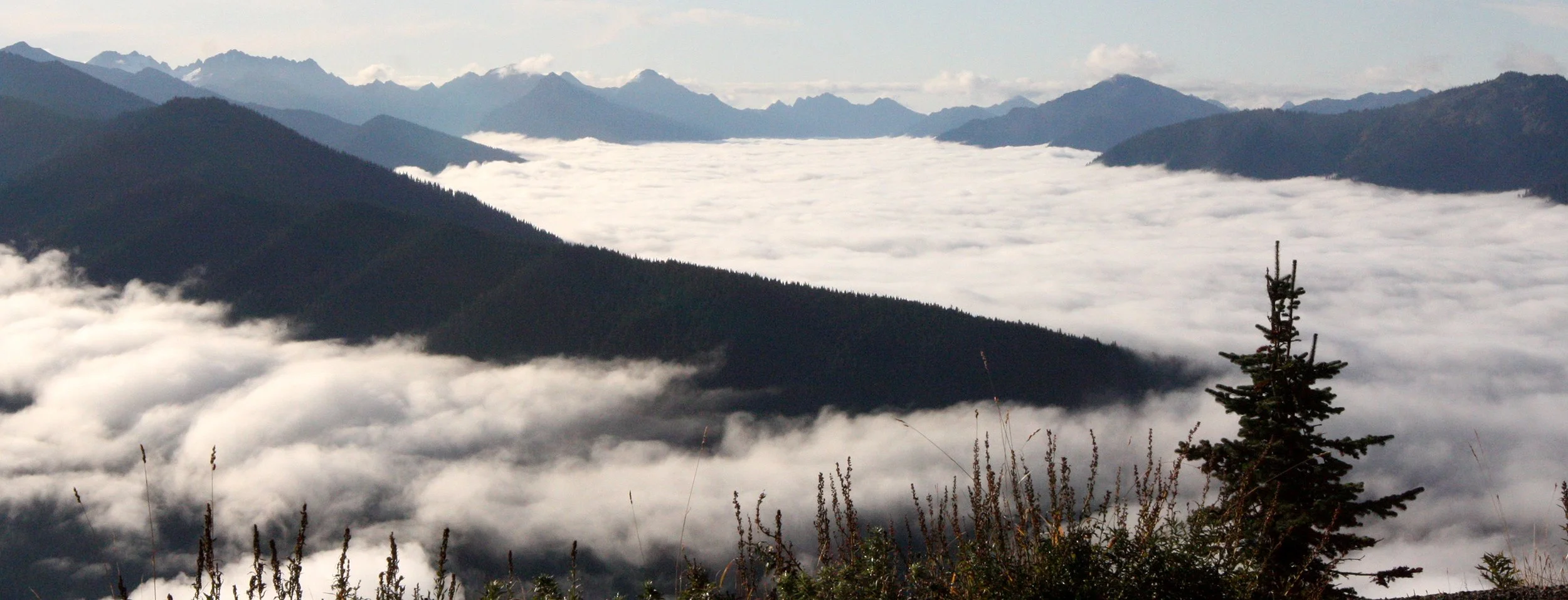HURRICANE RIDGE - VIEWS OF CLOUDS RESEMBLING GLACIERS (6).JPG
