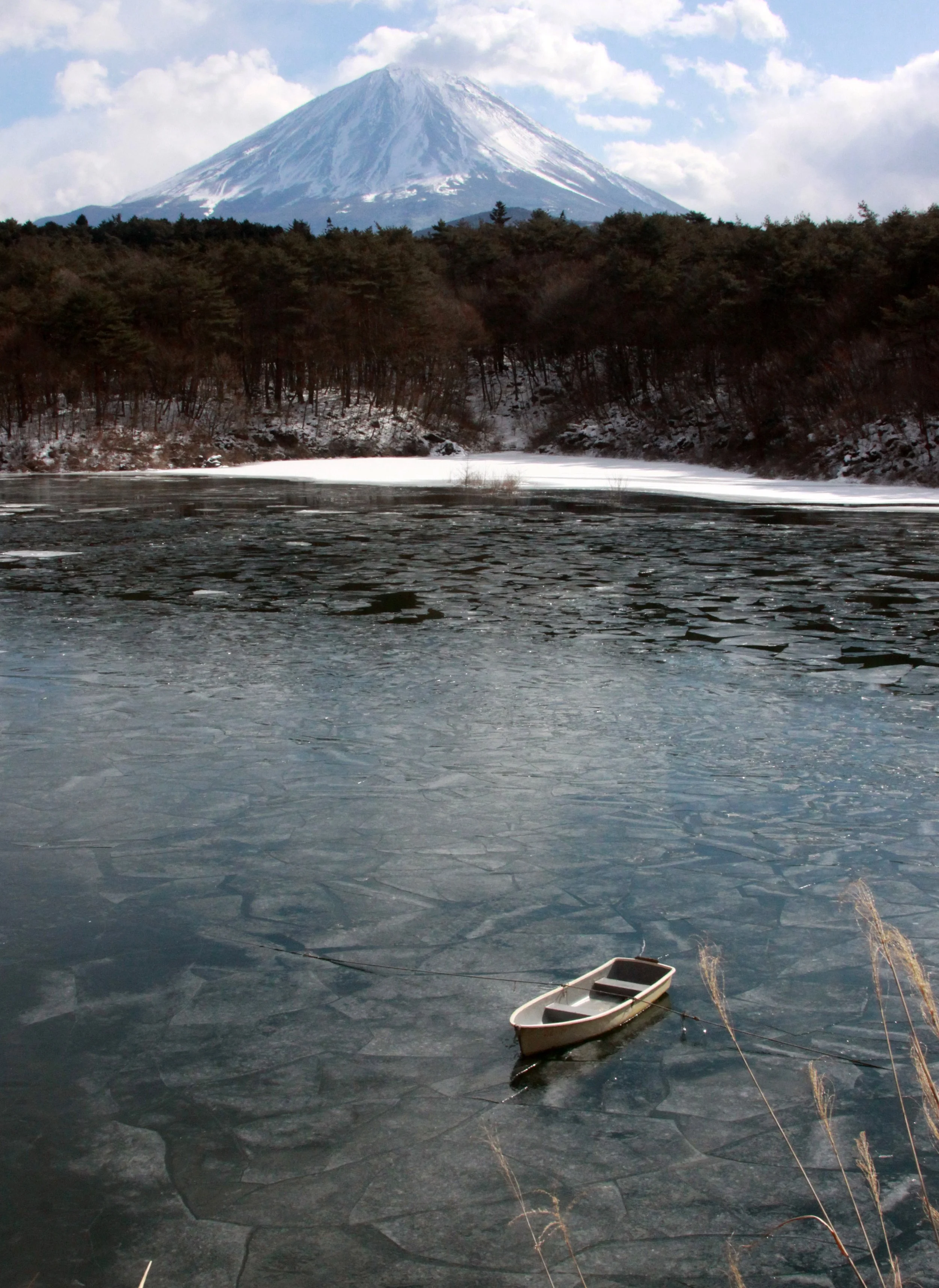 MOUNT FUJI - AS SEEN FROM LAKE SHOJI JAPAN (14).JPG