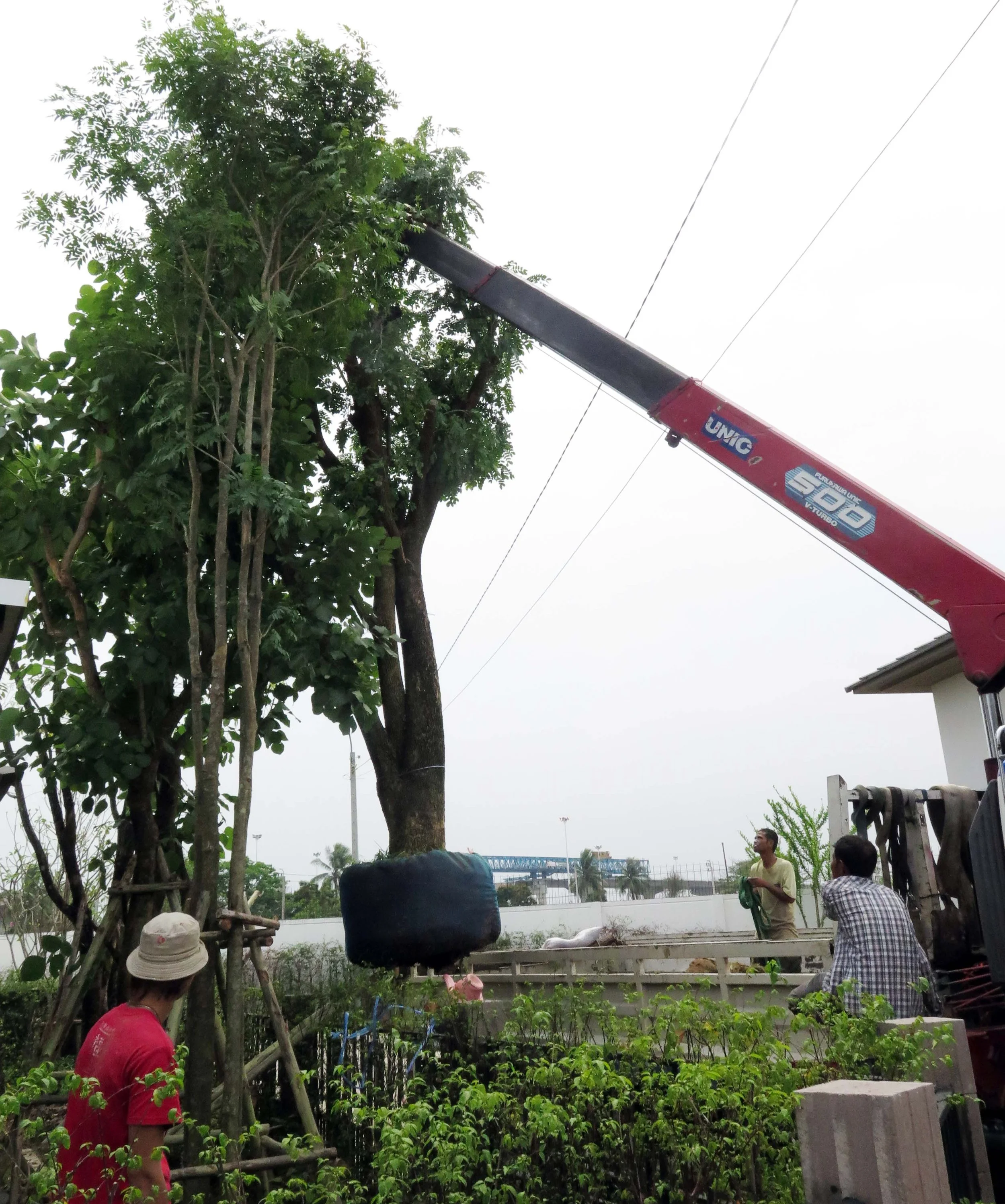 2013 Nonthaburi Setthasiri House and Nonthaburi Neighborhood (40).JPG