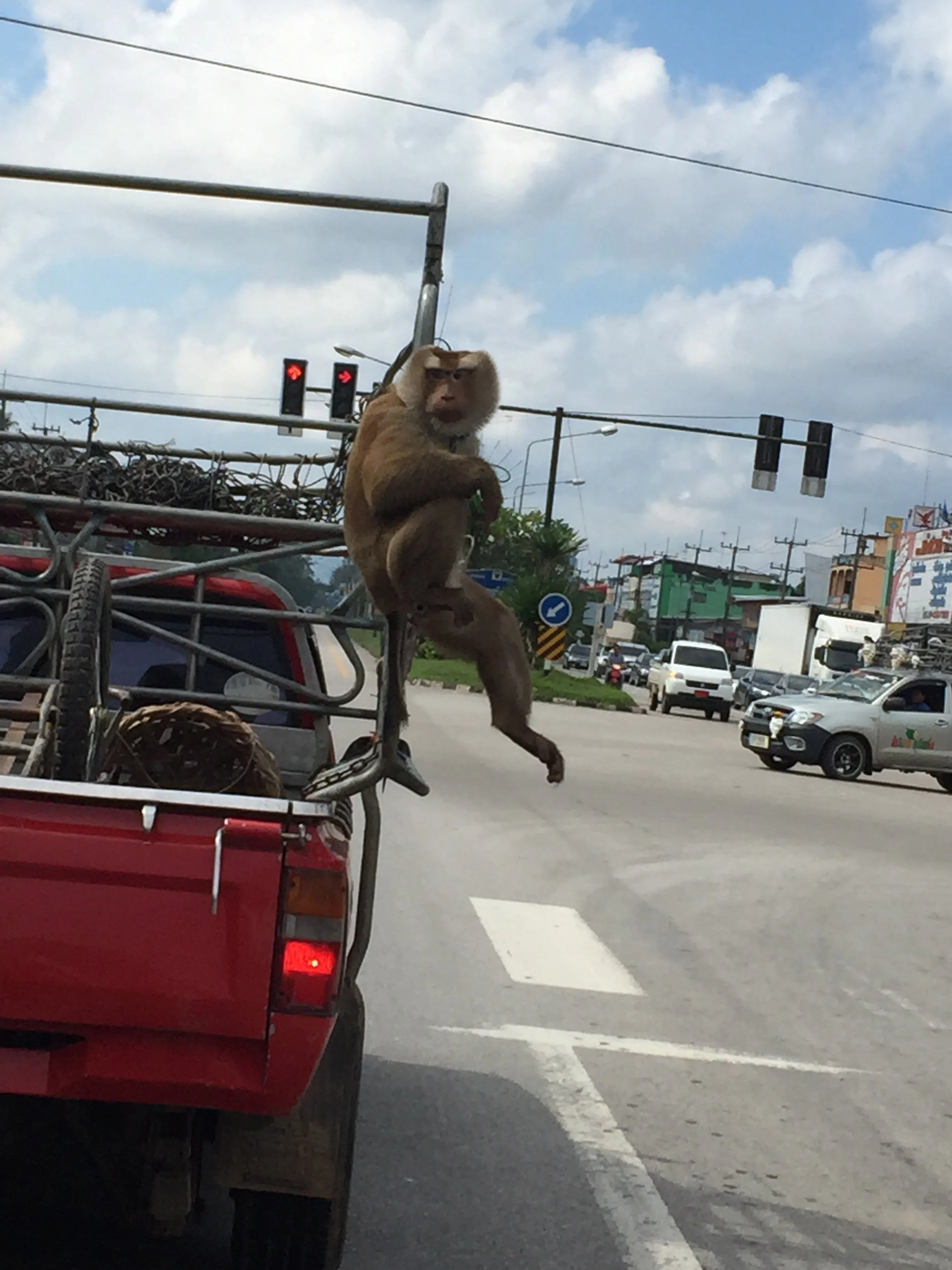 2015 Koh Lanta Road Trip Christmas Break (79).jpg