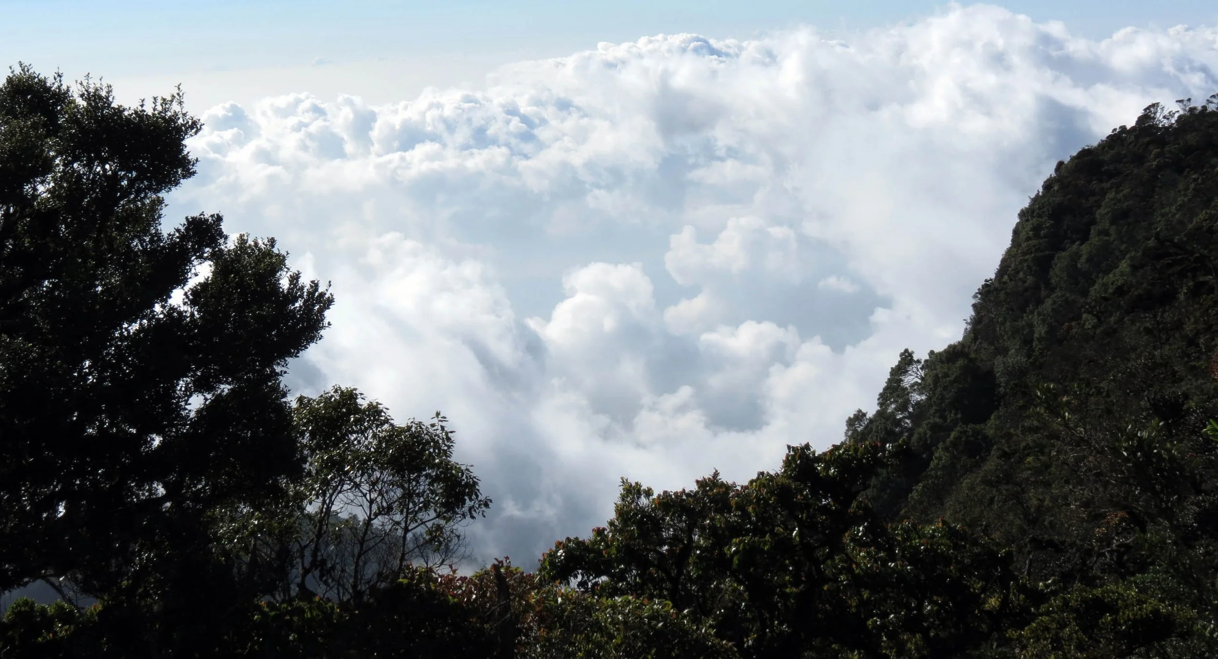 HORTON PLAIN NATIONAL PARK SRI LANKA (14).JPG
