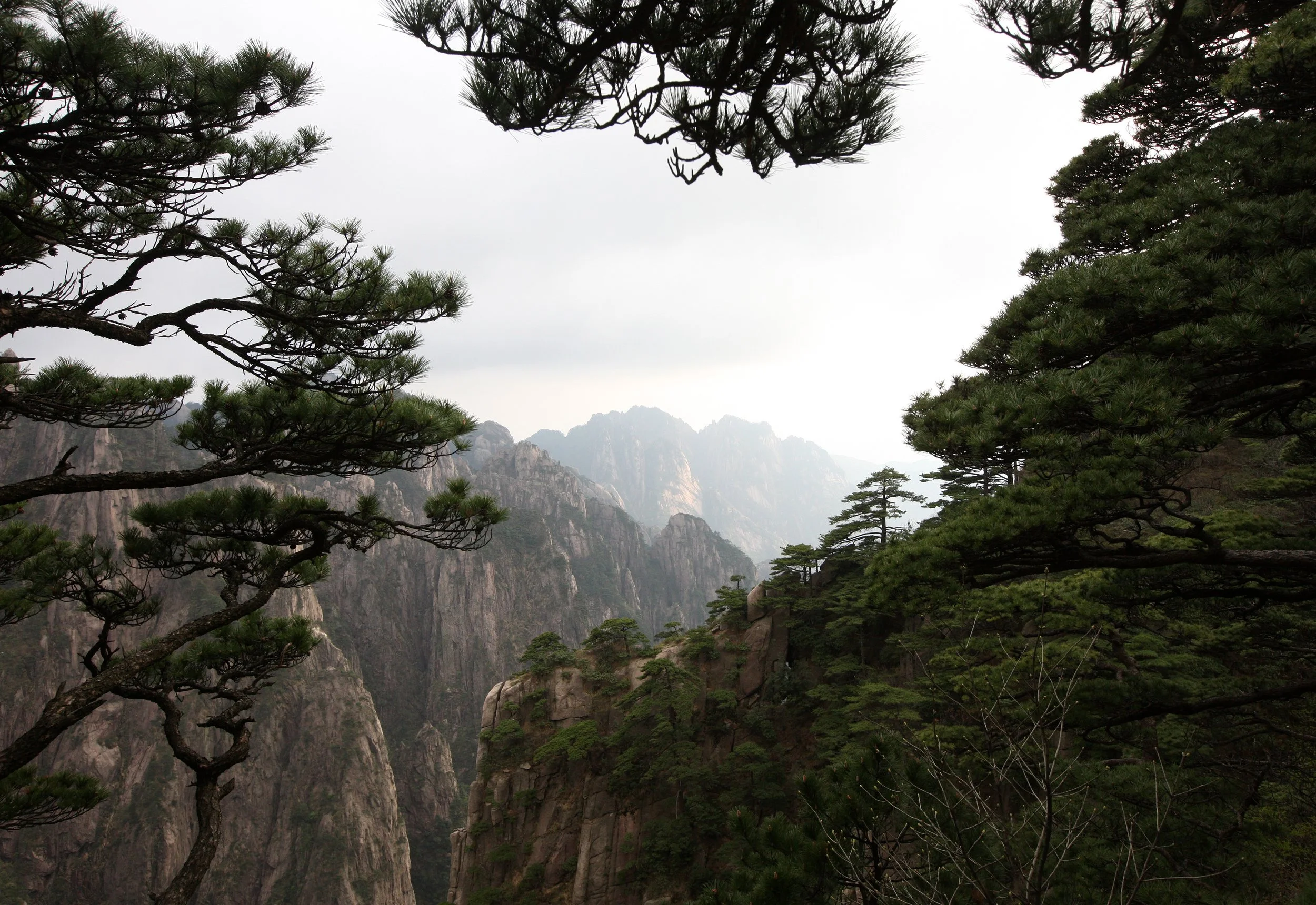 HUANGSHAN NATIONAL PARK ANHUI PROVINCE CHINA (153).JPG