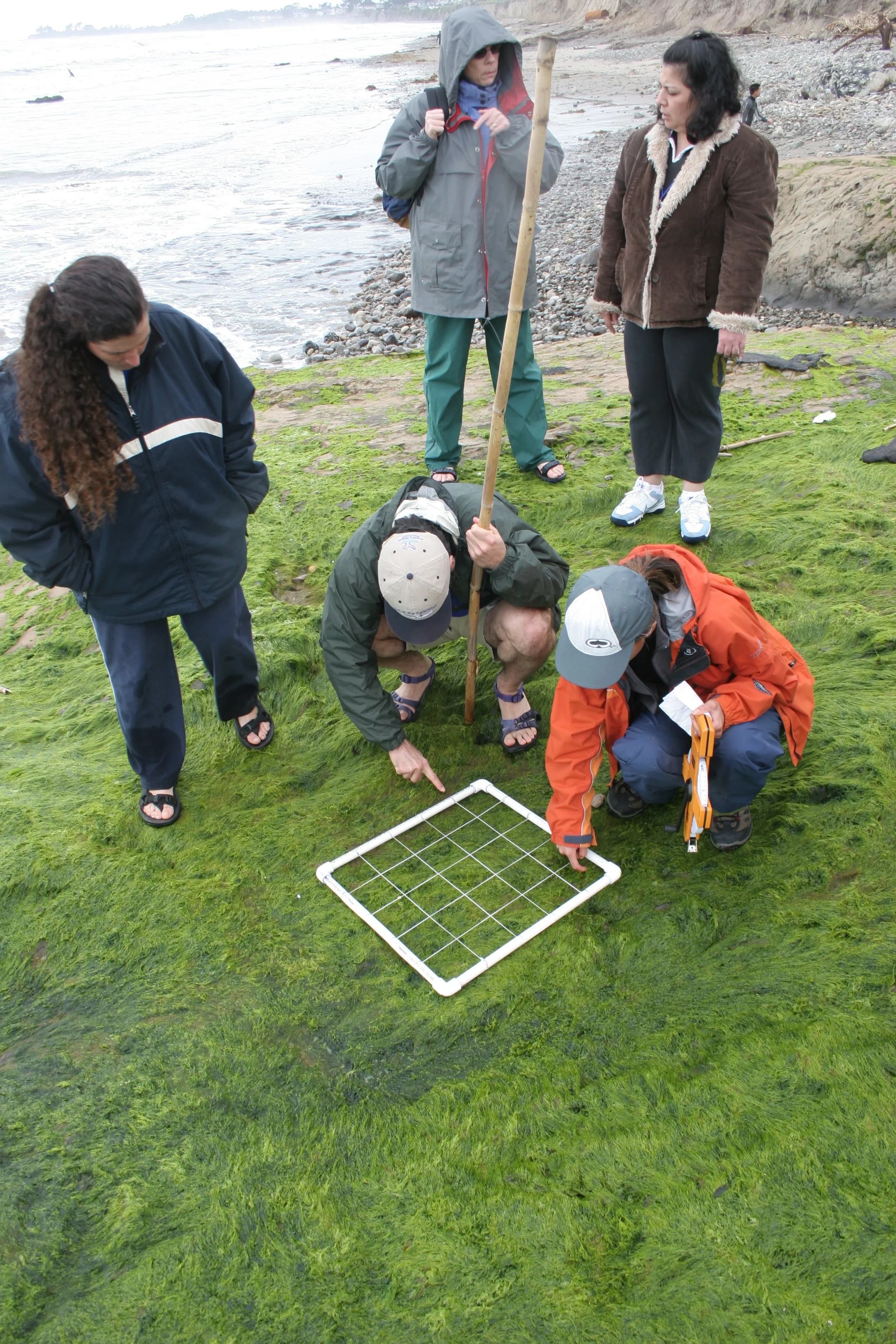 CALIFORNIA - CHANNEL ISLANDS NP - ANACAPA ISLAND - LIMPETS RESEARCH TRIP (24).jpg