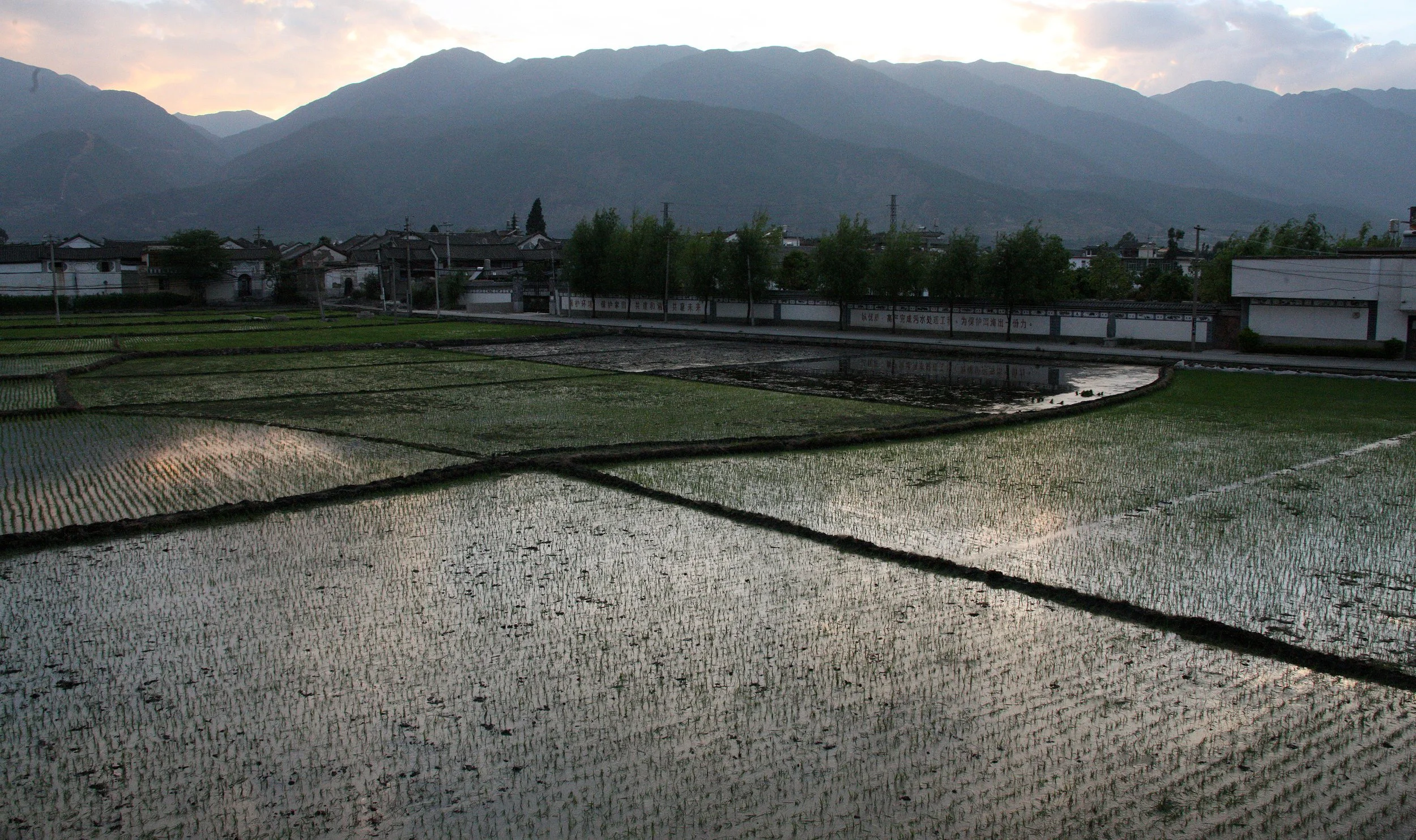 LINDEN CENTER - XIZHOU VILLAGE YUNNAN CHINA (29).JPG