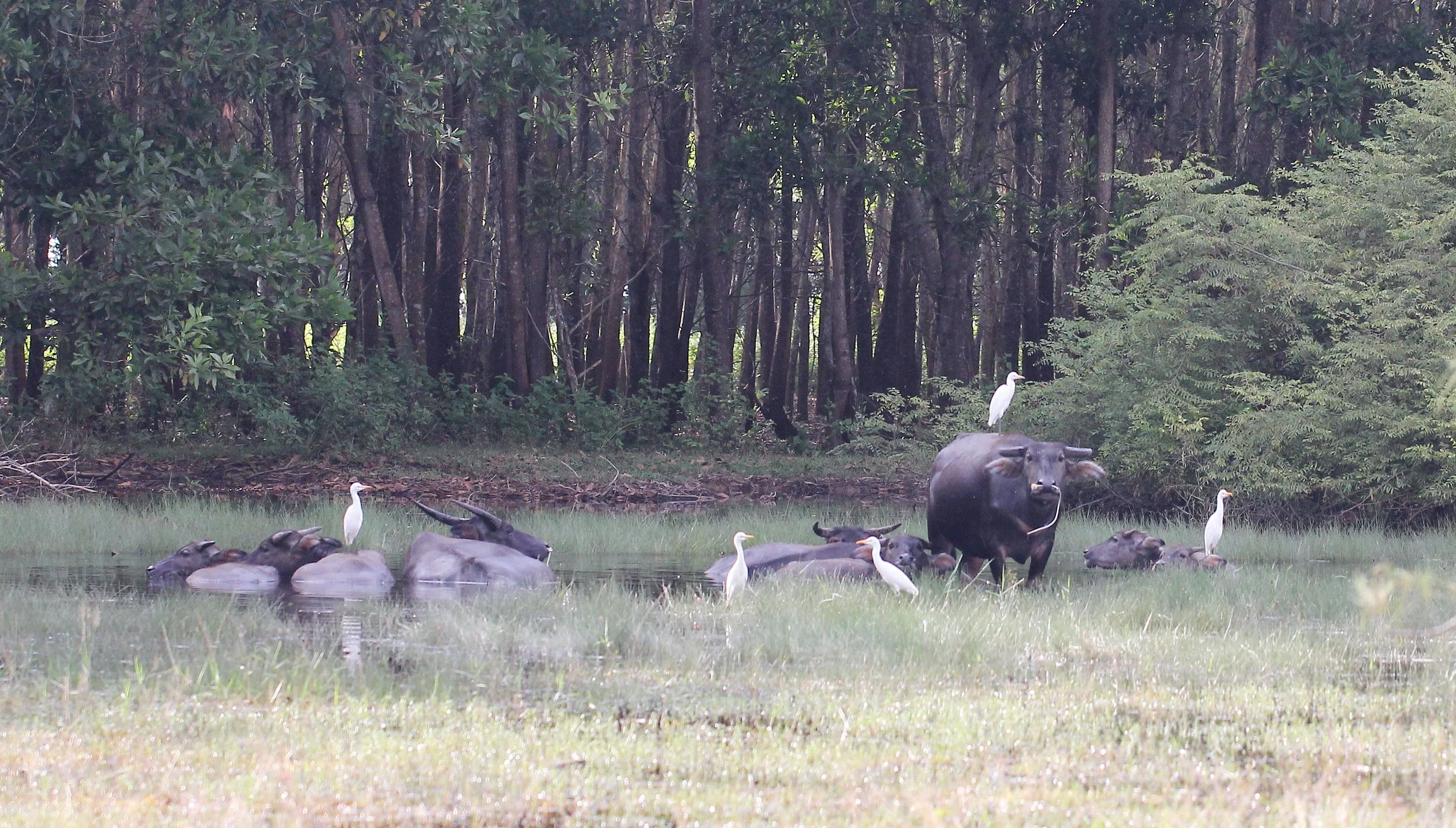 2015 Koh Lanta October Break Trip  (46).JPG