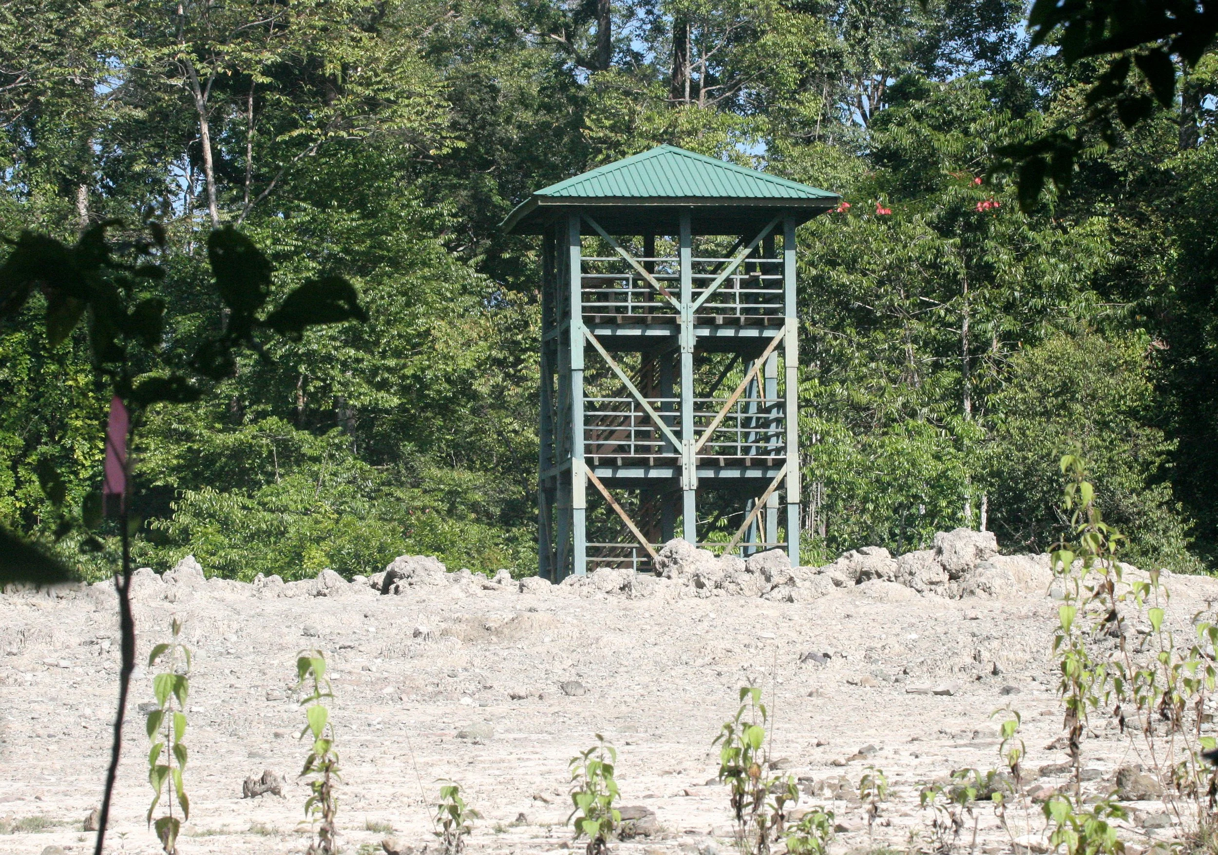 TABIN WILDLIFE RESERVE BORNEO - MUD VOLCANOES (29).JPG