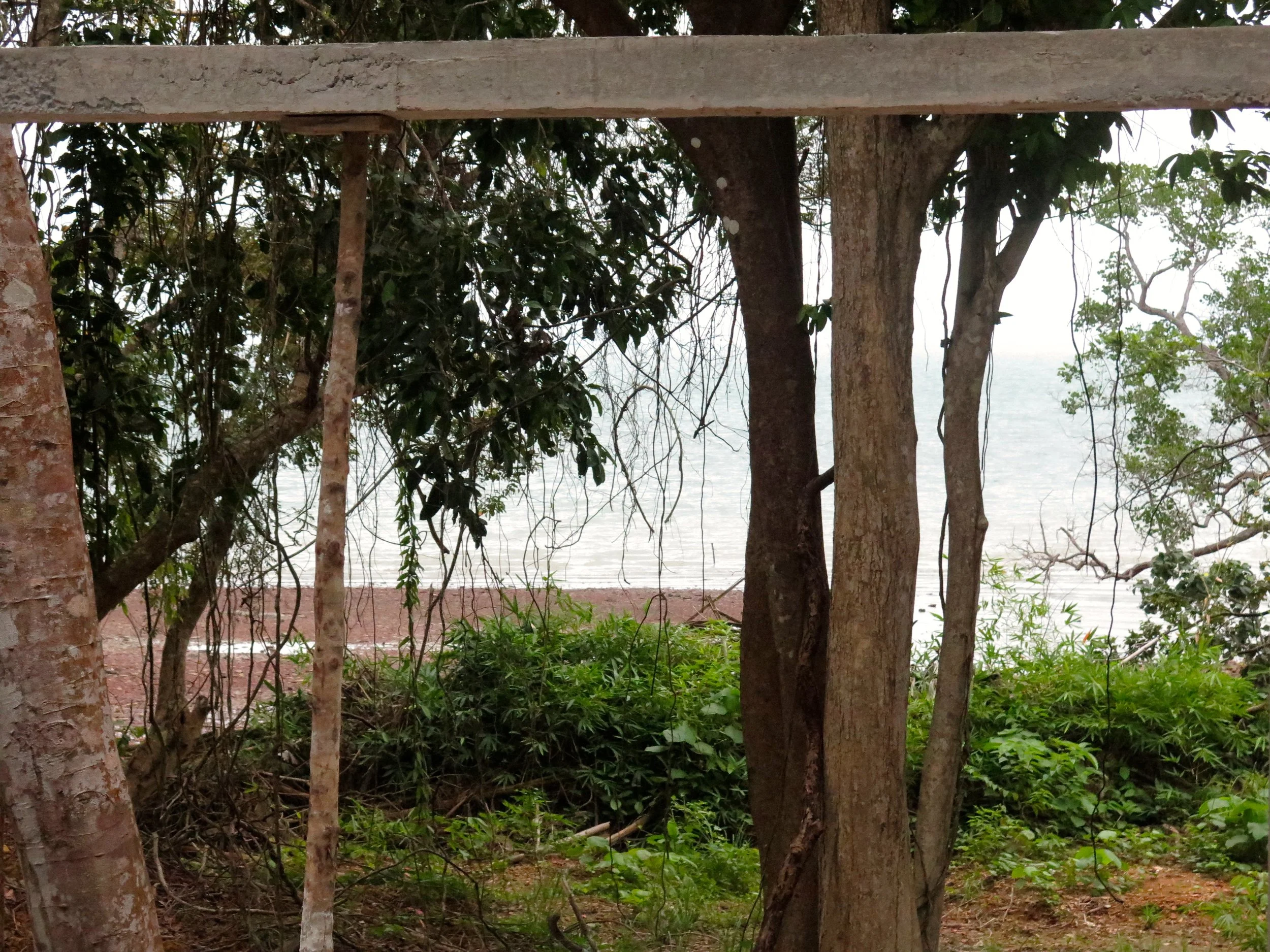 LANTA PROJECT - NOVEMBER 2014 UPDATE (57).JPG