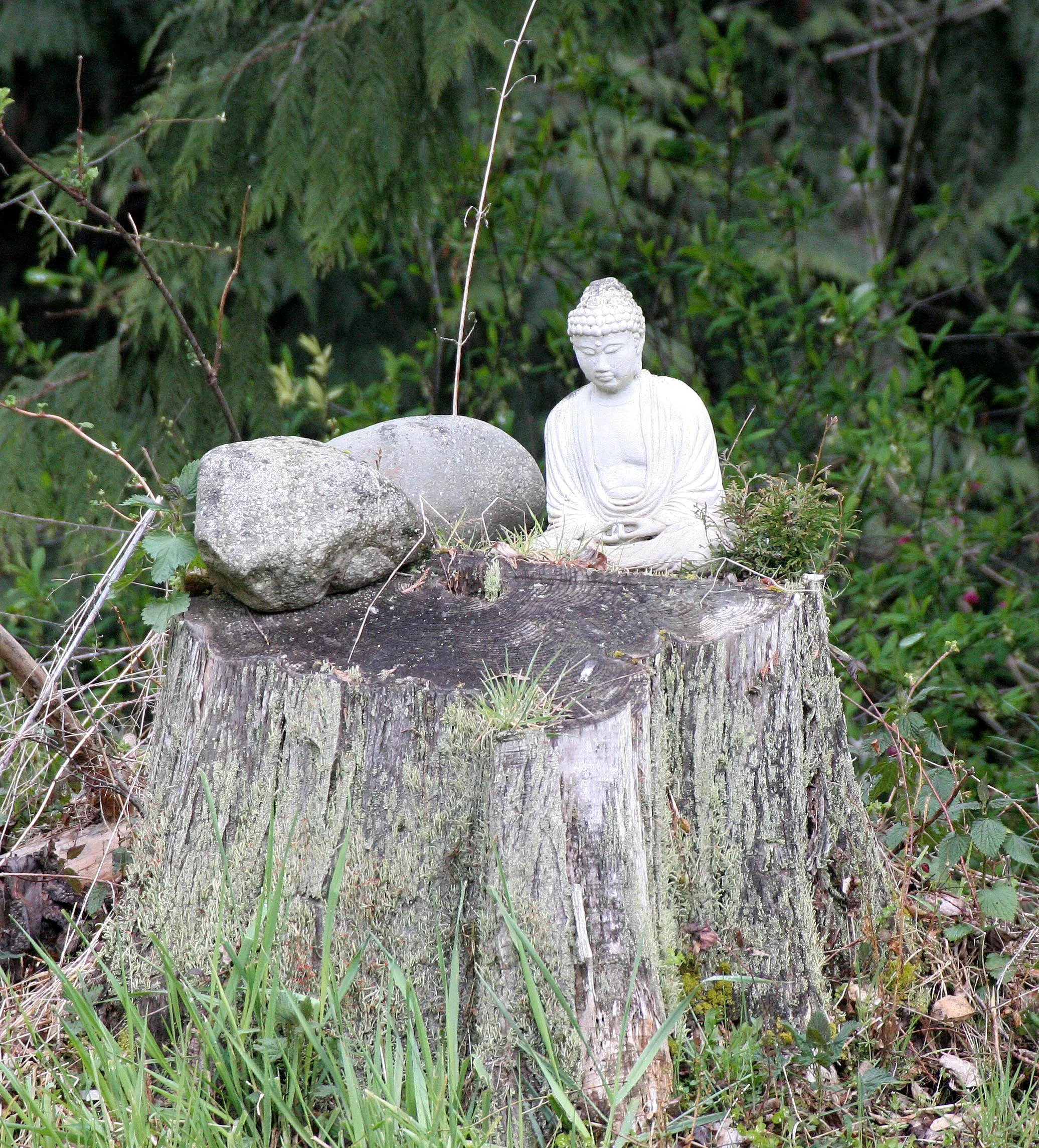 2008-4-19 LAKE FARM TRAILS WALK (44).JPG