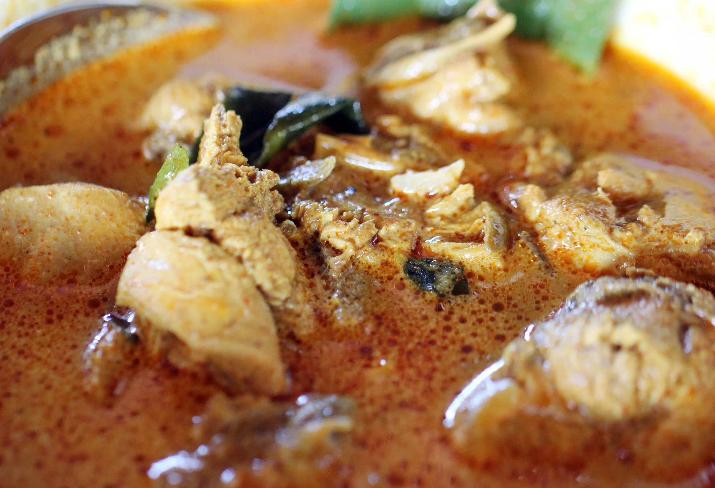 UDAWALAWA NATIONAL PARK SRI LANKA - PHOTO BY SOM SMITH (3).JPG