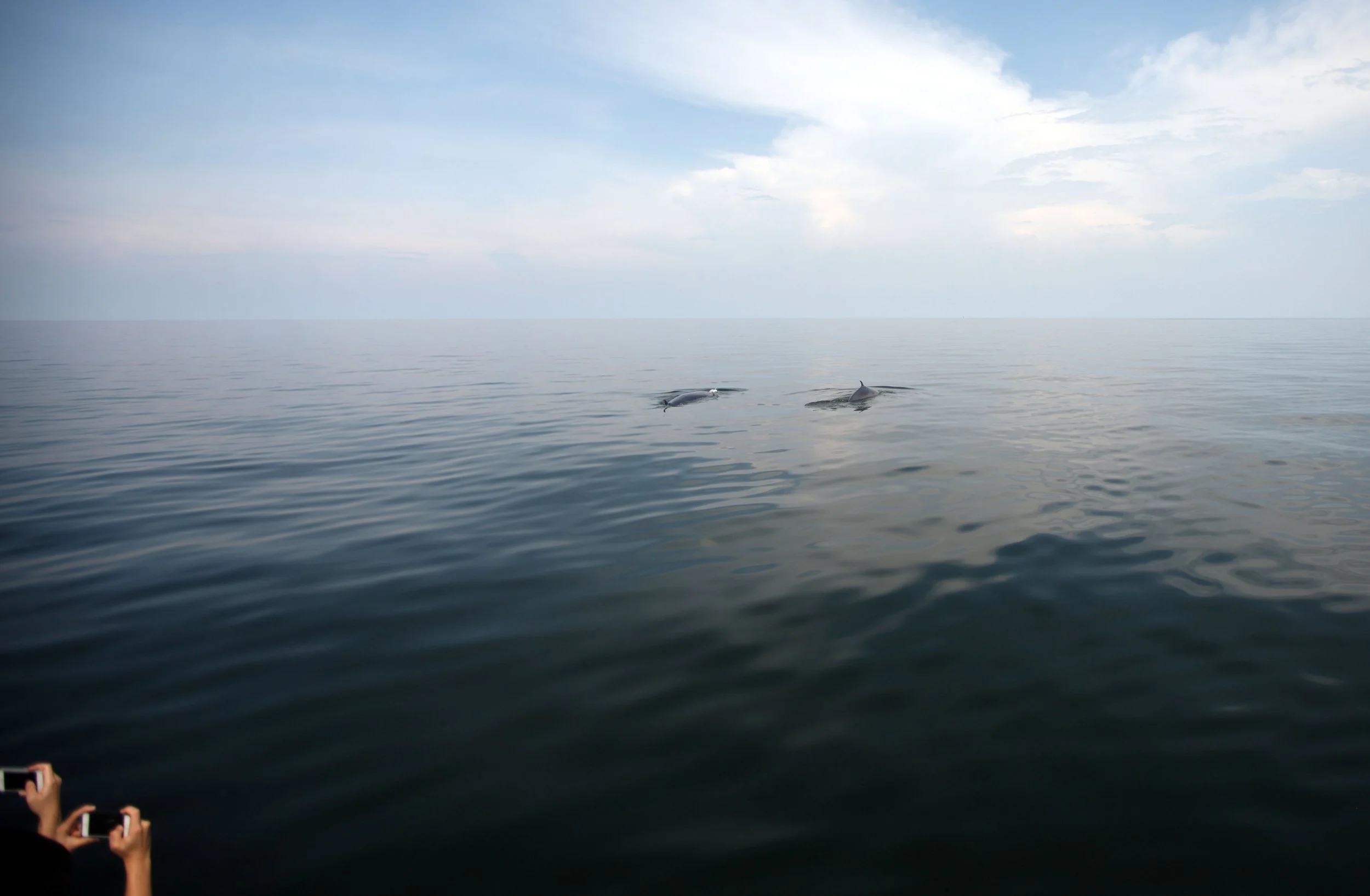 2014 Amphawa Trip to See Whales from Baan Taboon (68).JPG