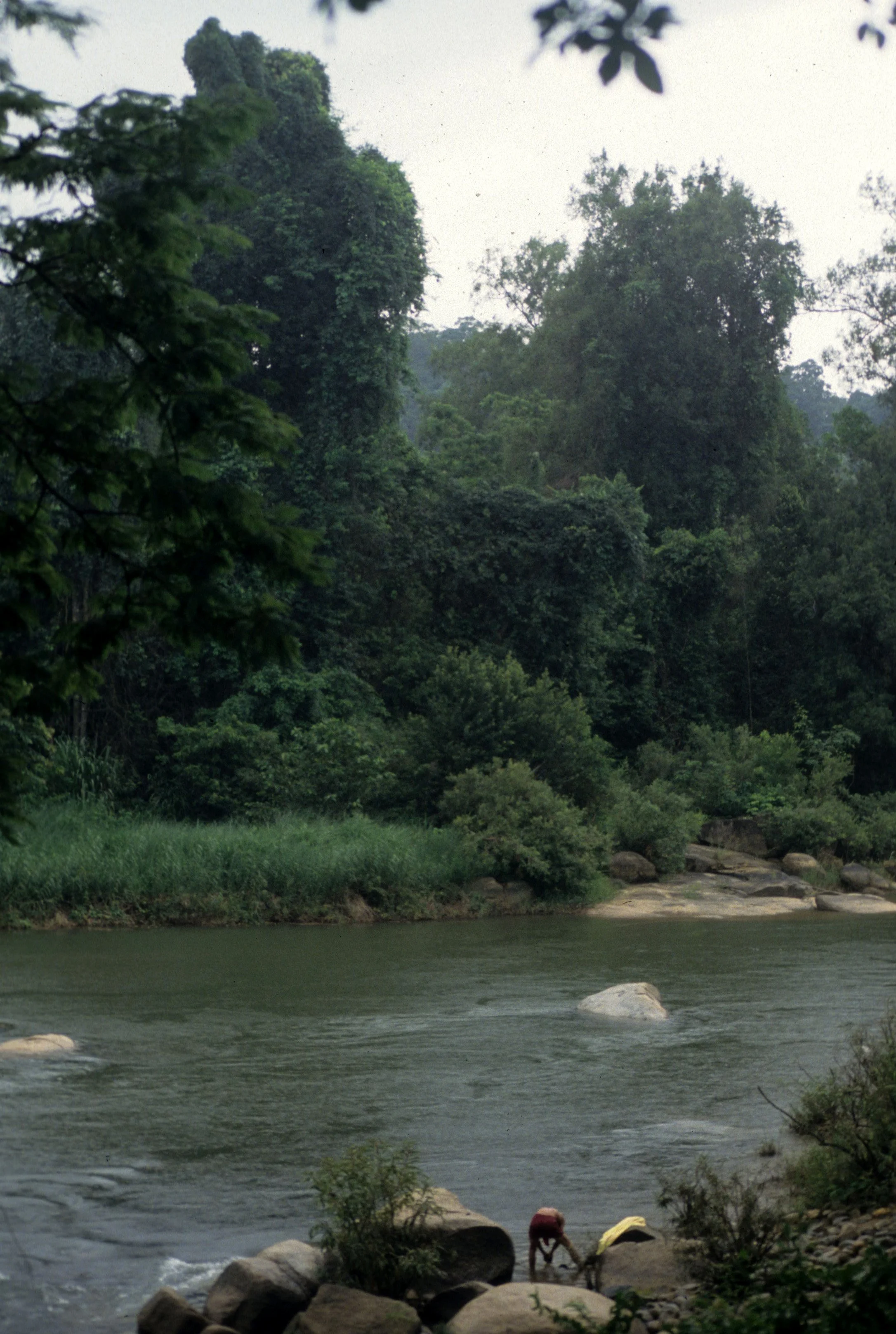 NAM CAT TIEN NP - RIVER.jpg