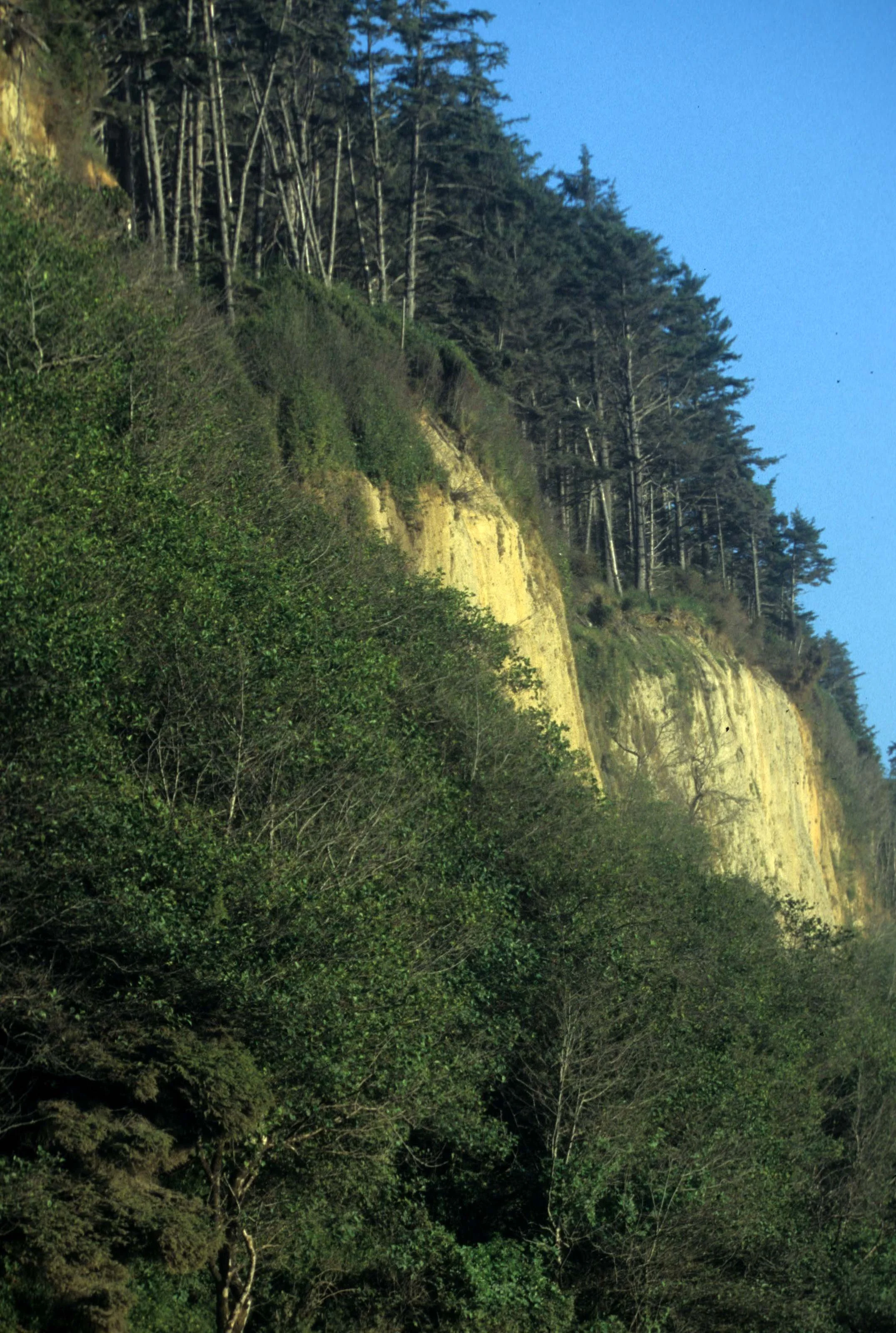 CALIFORNIA - REDWOODS NP - VIEWS.jpg