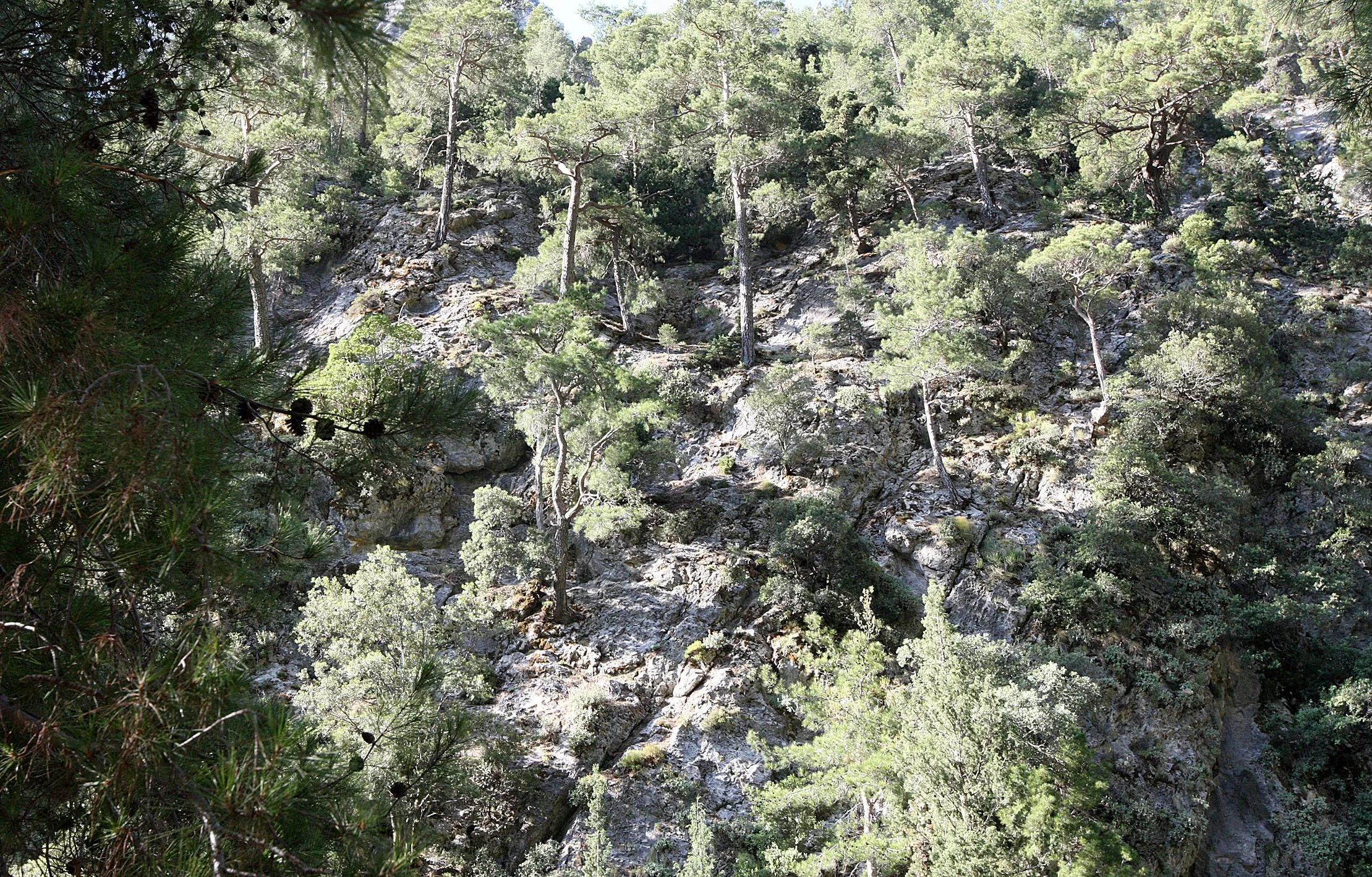 SAMARIA GORGE NATIONAL PARK CRETE (21).JPG