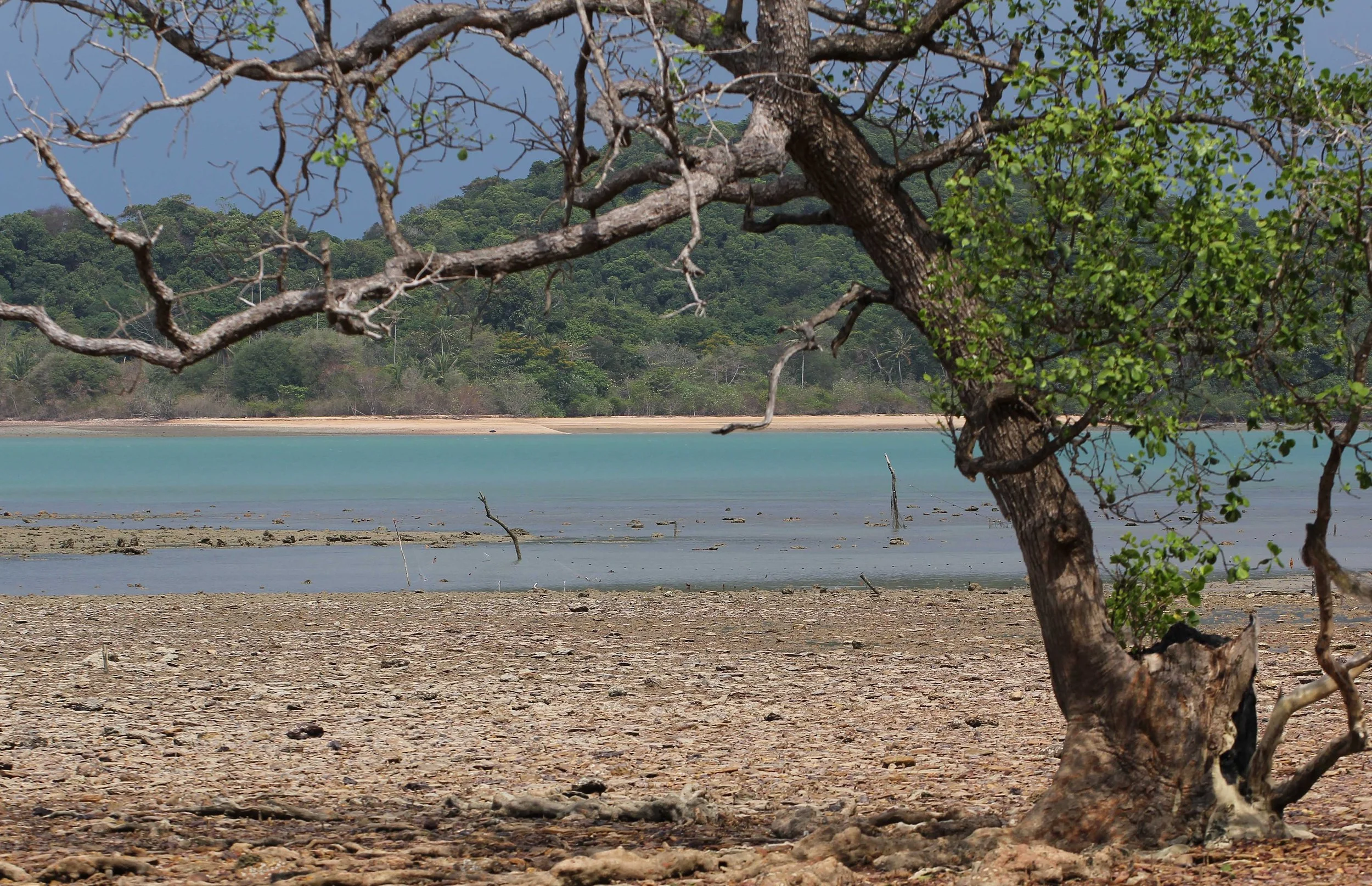 2015 Koh Lanta Songkran Break (22).JPG