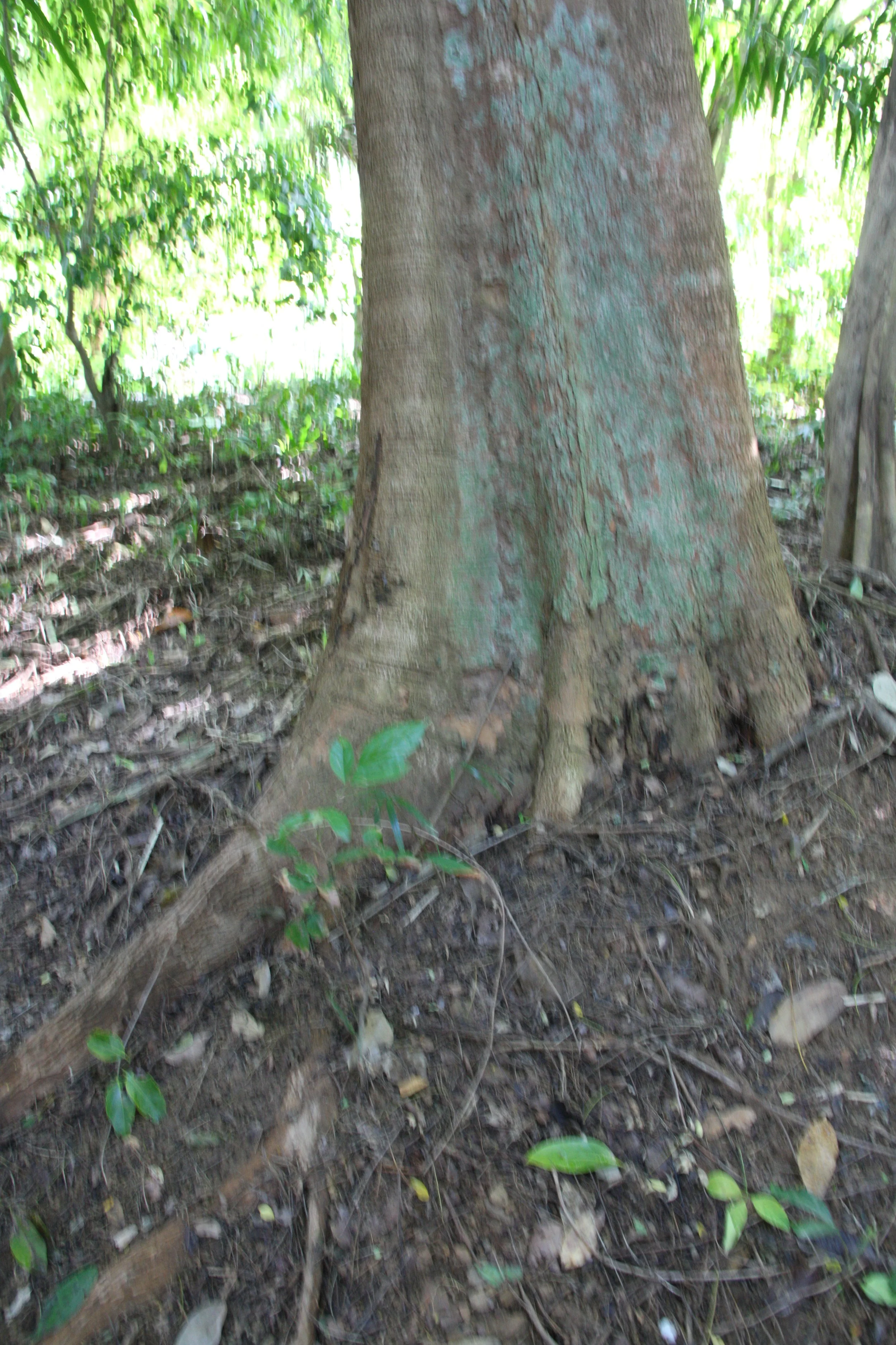 2016 Koh Lanta Landscapes, House Pictures and Family Fun (643).JPG