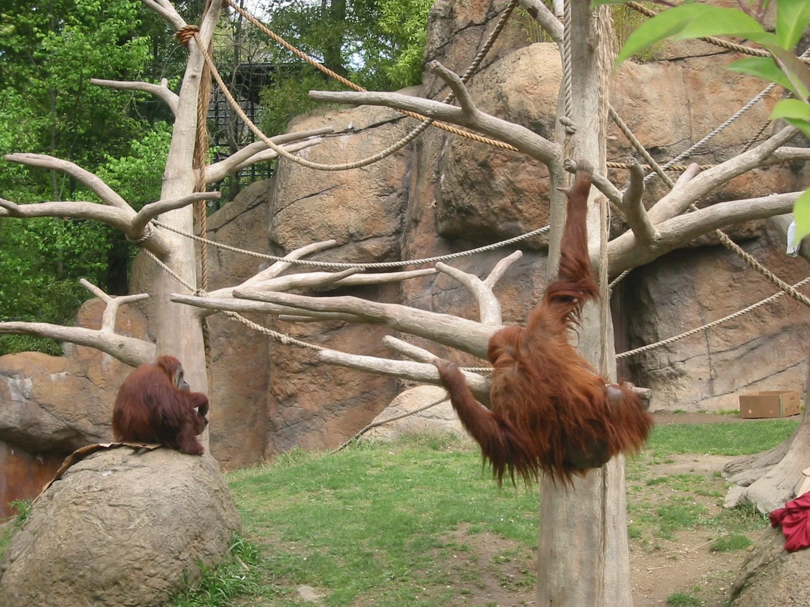 2003-4-1 SPRING TRIP TO SACRAMENTO (59).JPG