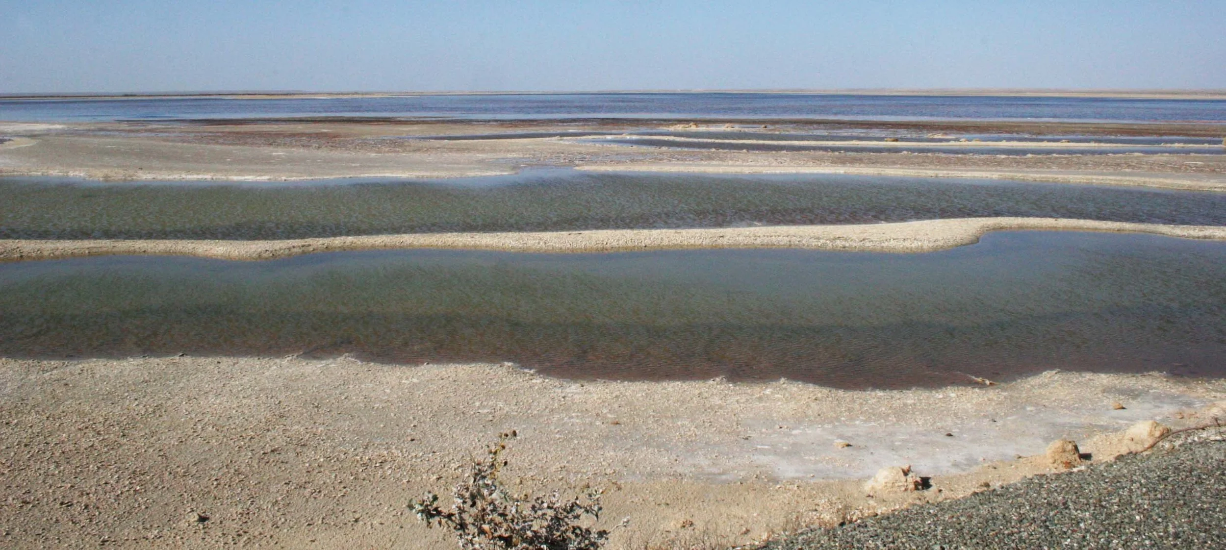 OJO DE LIEBRE LAGOON BAJA MEXICO - SALT POOLS.JPG