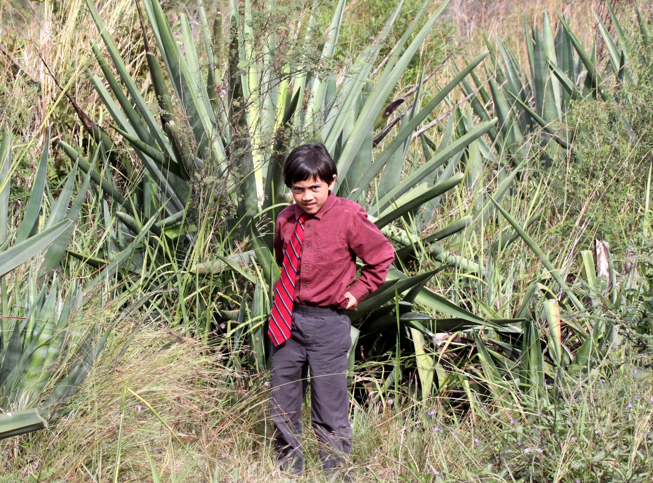 ANDOHAHELA NATIONAL PARK (2).JPG