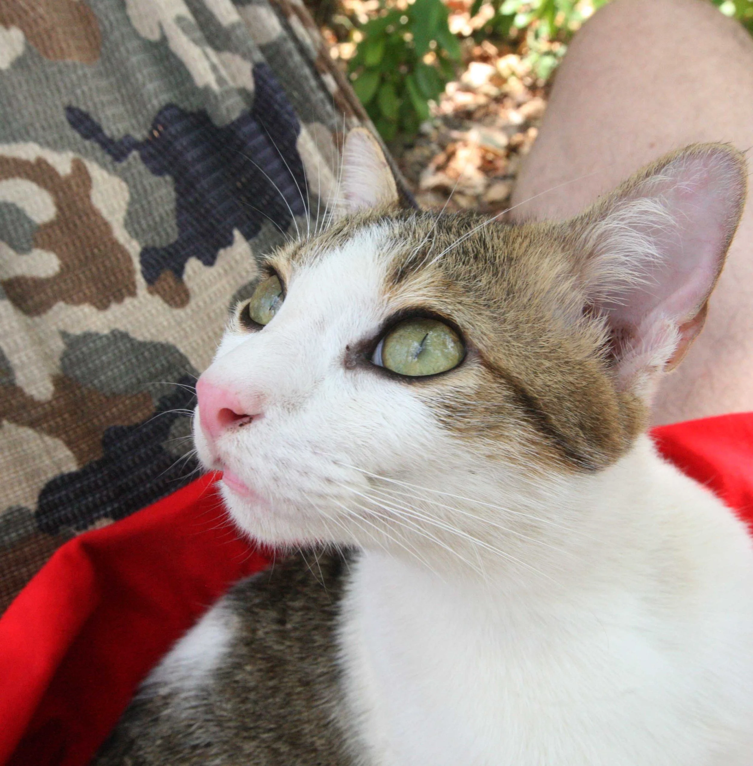 2015 Koh Lanta Songkran with friends from ISB (275).JPG