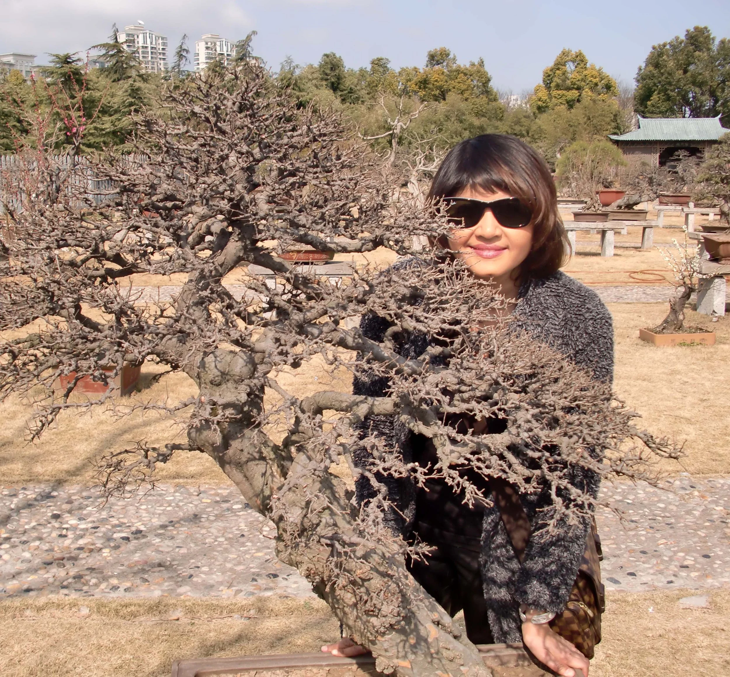 2011-3-13 CENTURY PARK SHANGHAI (23).JPG