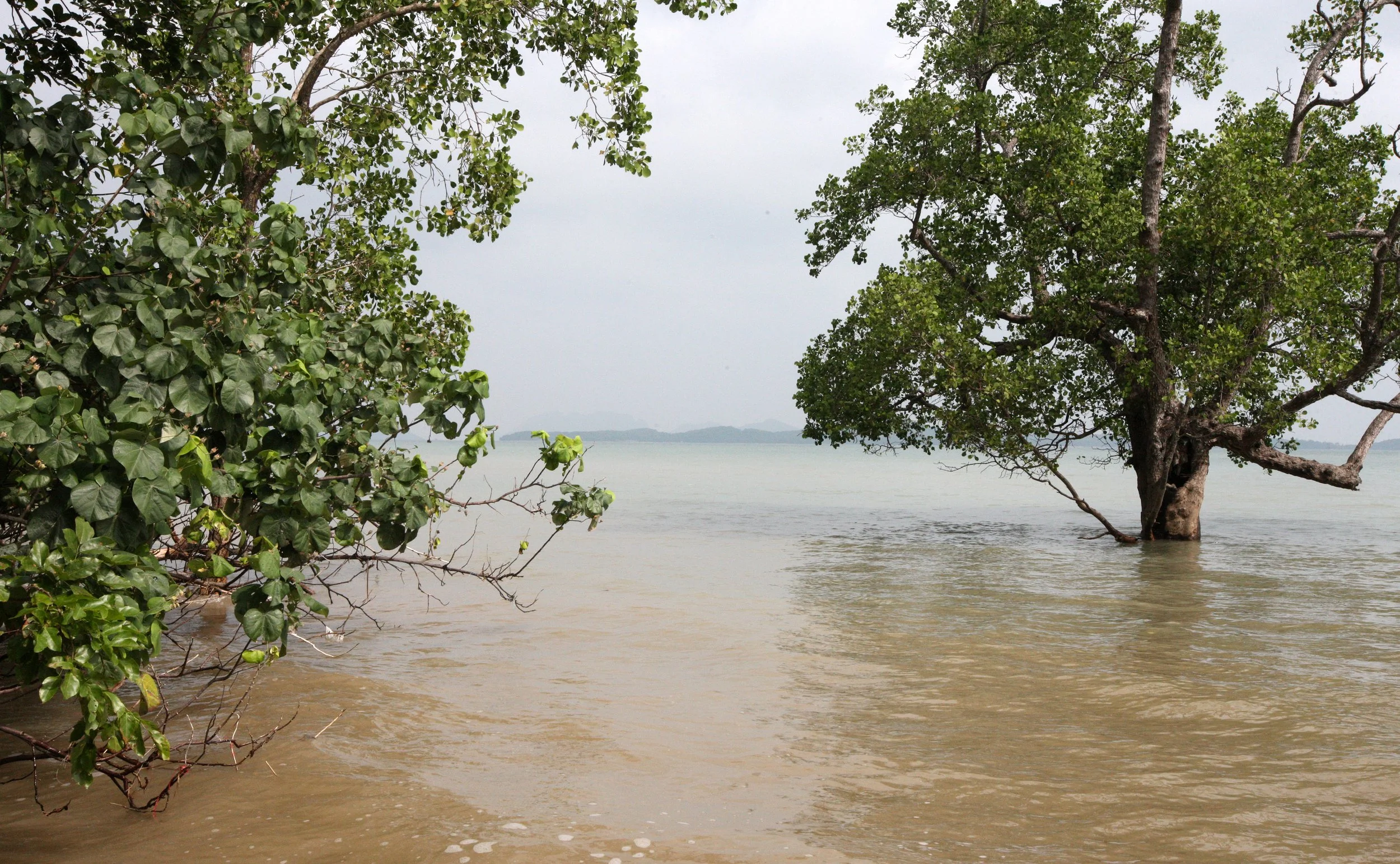 LANTA ISLAND - OUR PROPERTY - WINTER 2011 (33).JPG