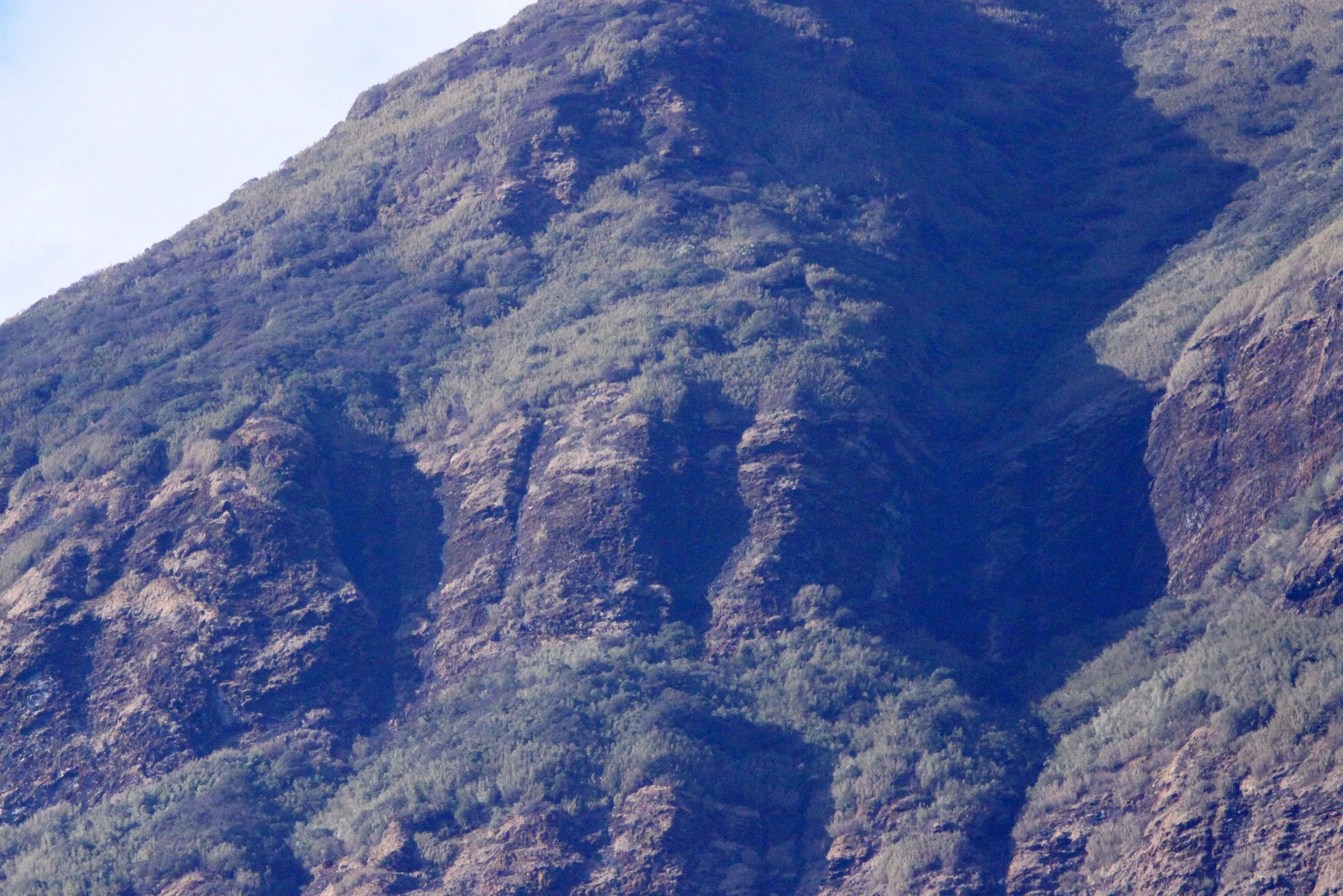 YUNNAN - WULIANGSHAN NATURE RESERVE - CHINA (3).JPG