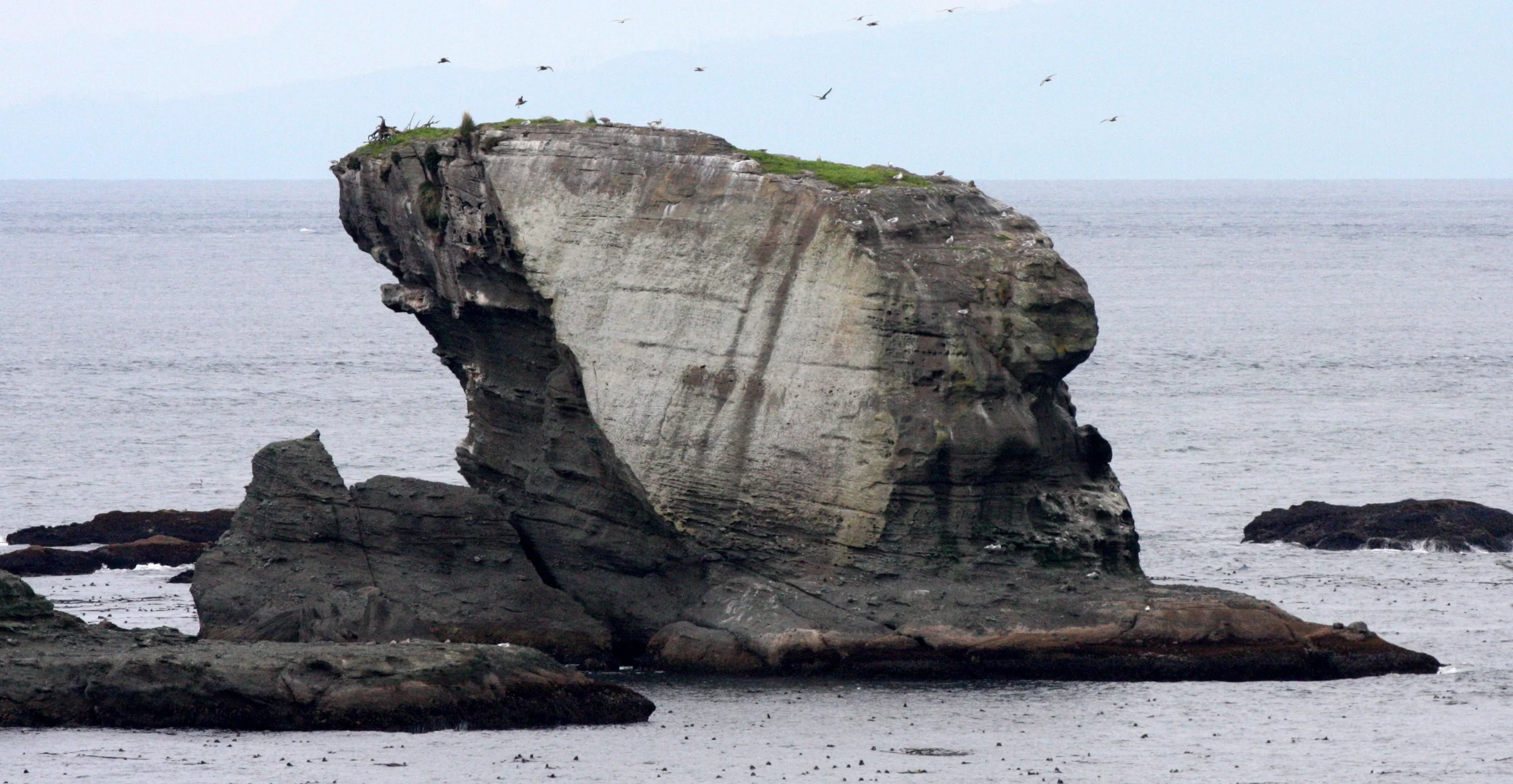 CAPE FLATTERY - TRAIL TO CAPE (7).JPG