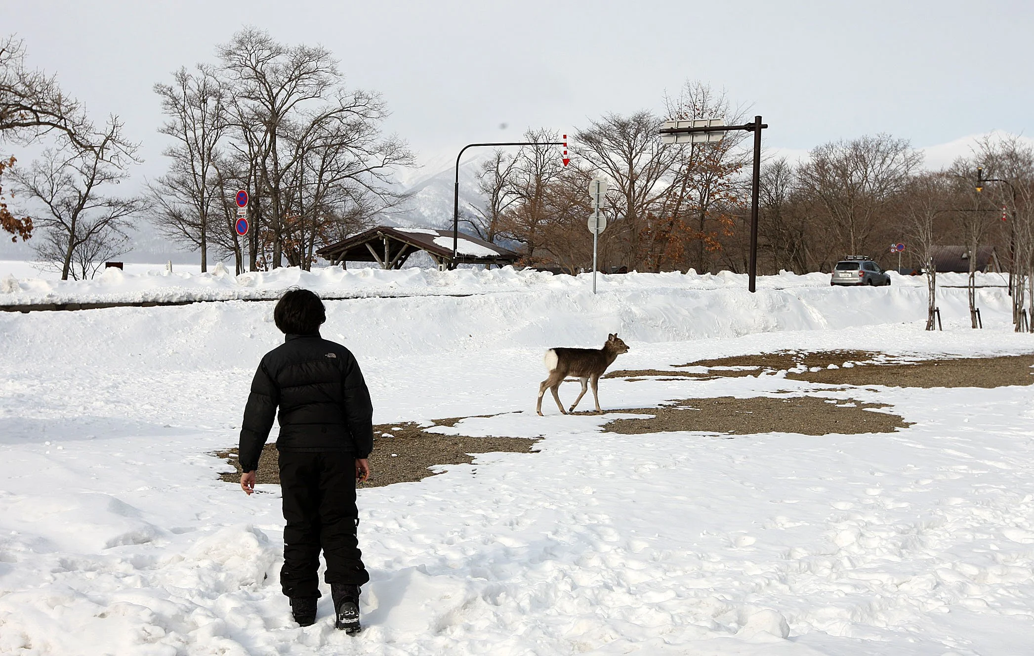 KUSSHARO LAKE, HOKKAIDO JAPAN (14).JPG