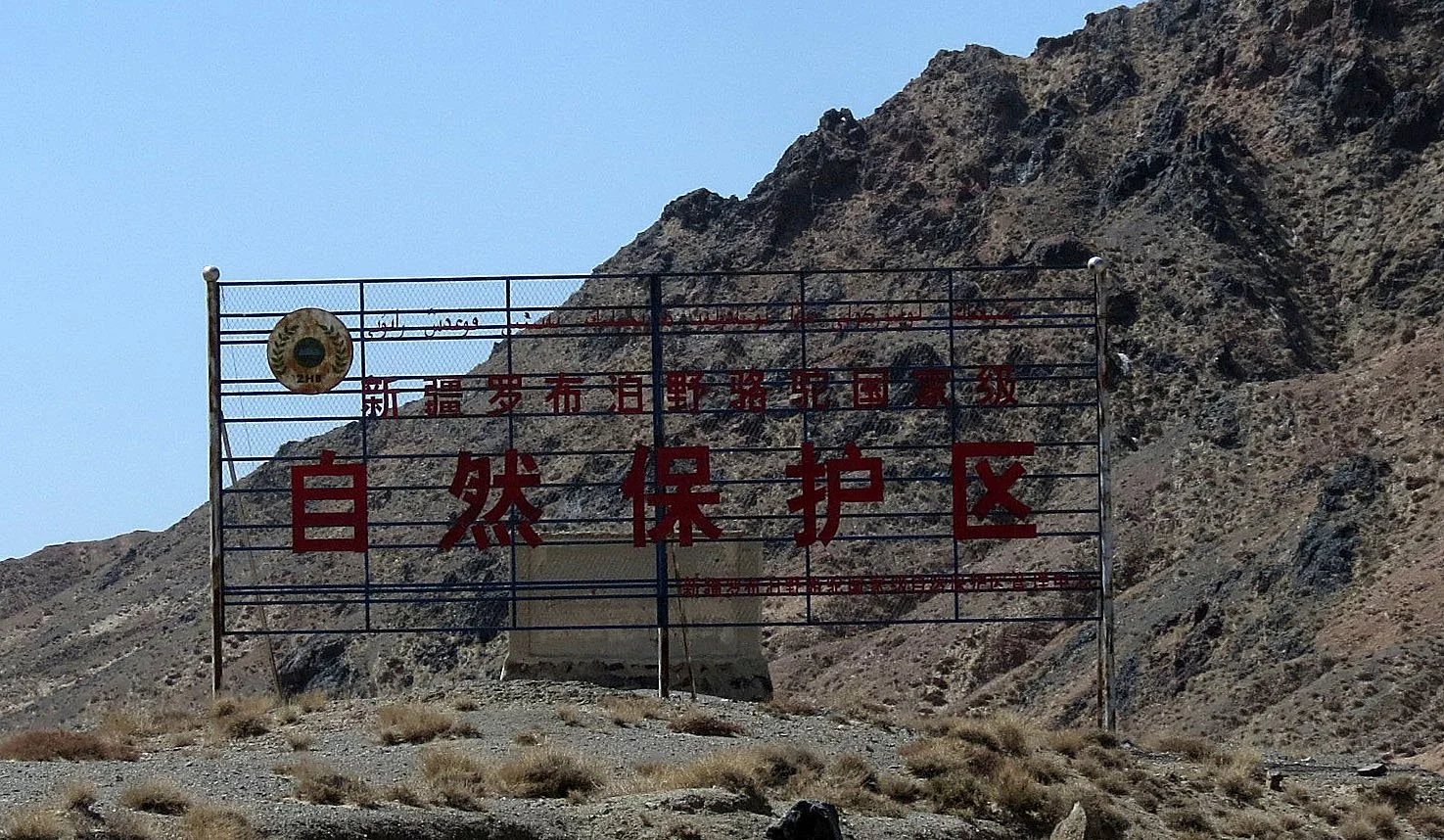 LOP NUR WILD BACTRIAN CAMEL RESERVE - XINJIANG CHINA (53).JPG