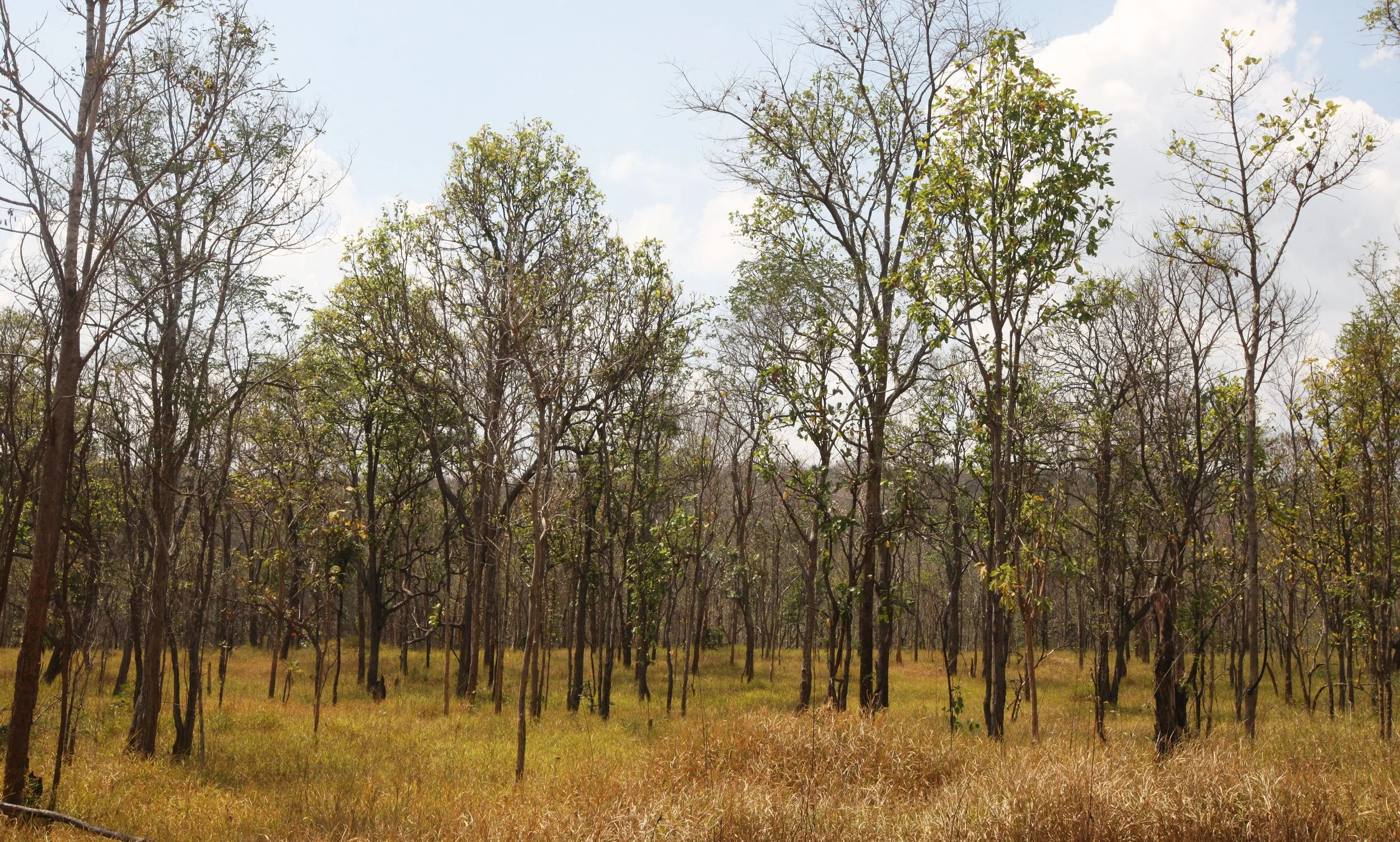 2015 Khao Pang Ma Nonhunting Area (27).JPG