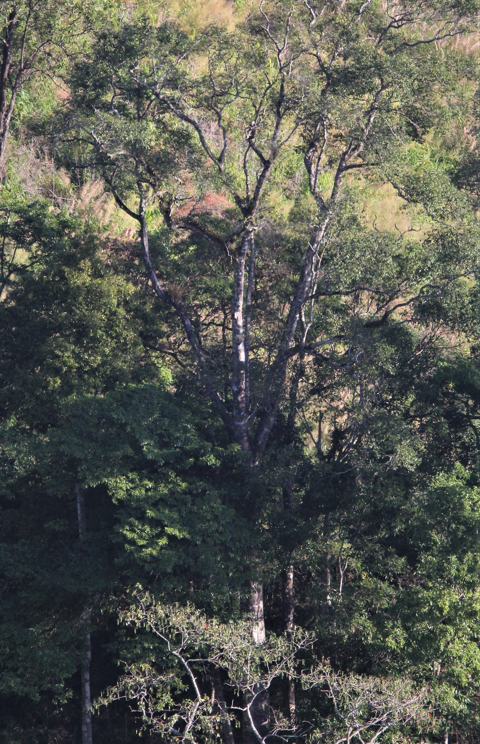 CHONG YEN CAMPSITE, MAE WONG NATIONAL PARK H.jpg