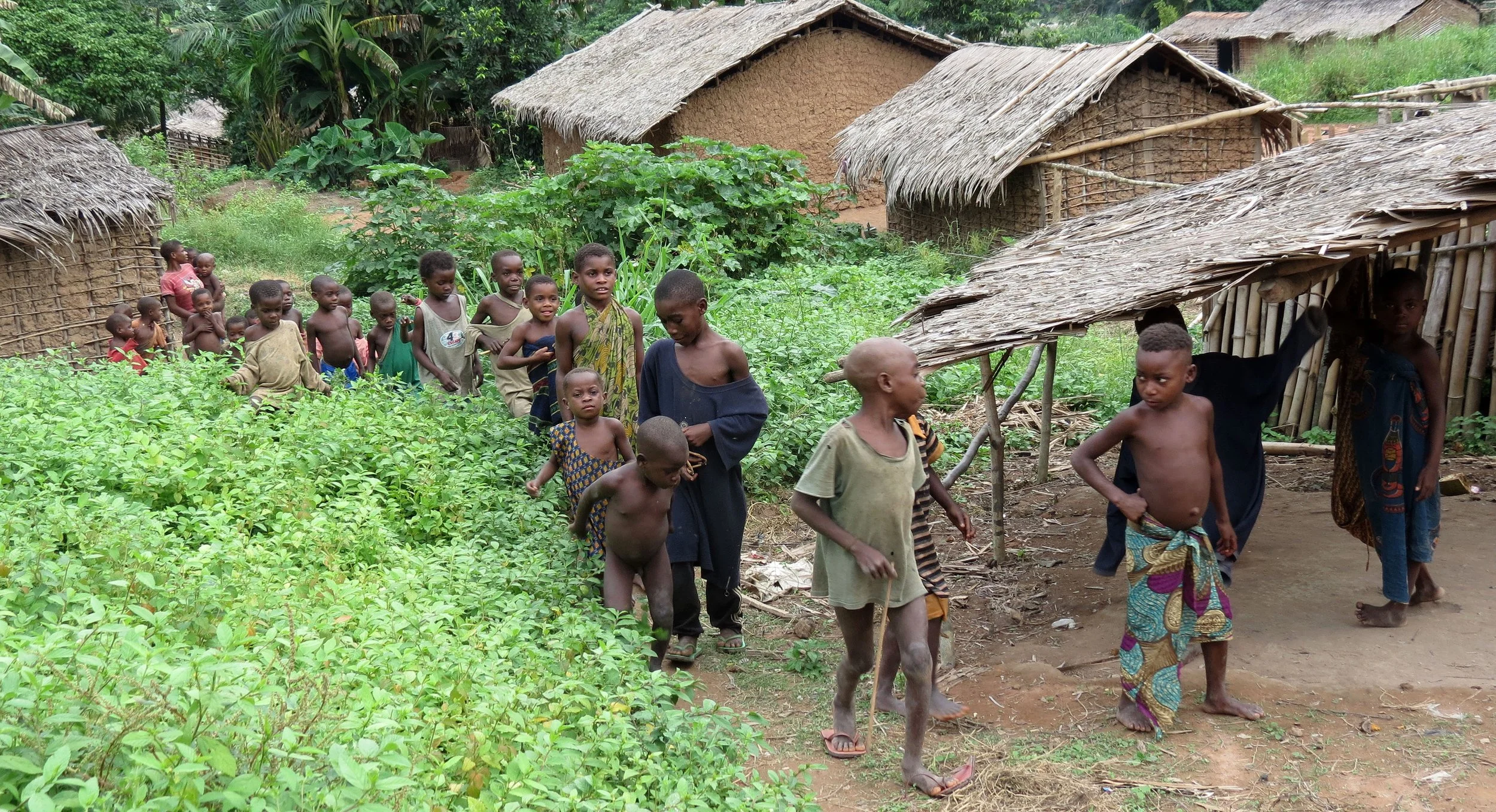 DZANGA NDOKI NATIONAL PARK - GRAS'S VILLAGE - CENTRAL AFRICAN REPUBLIC (22).JPG