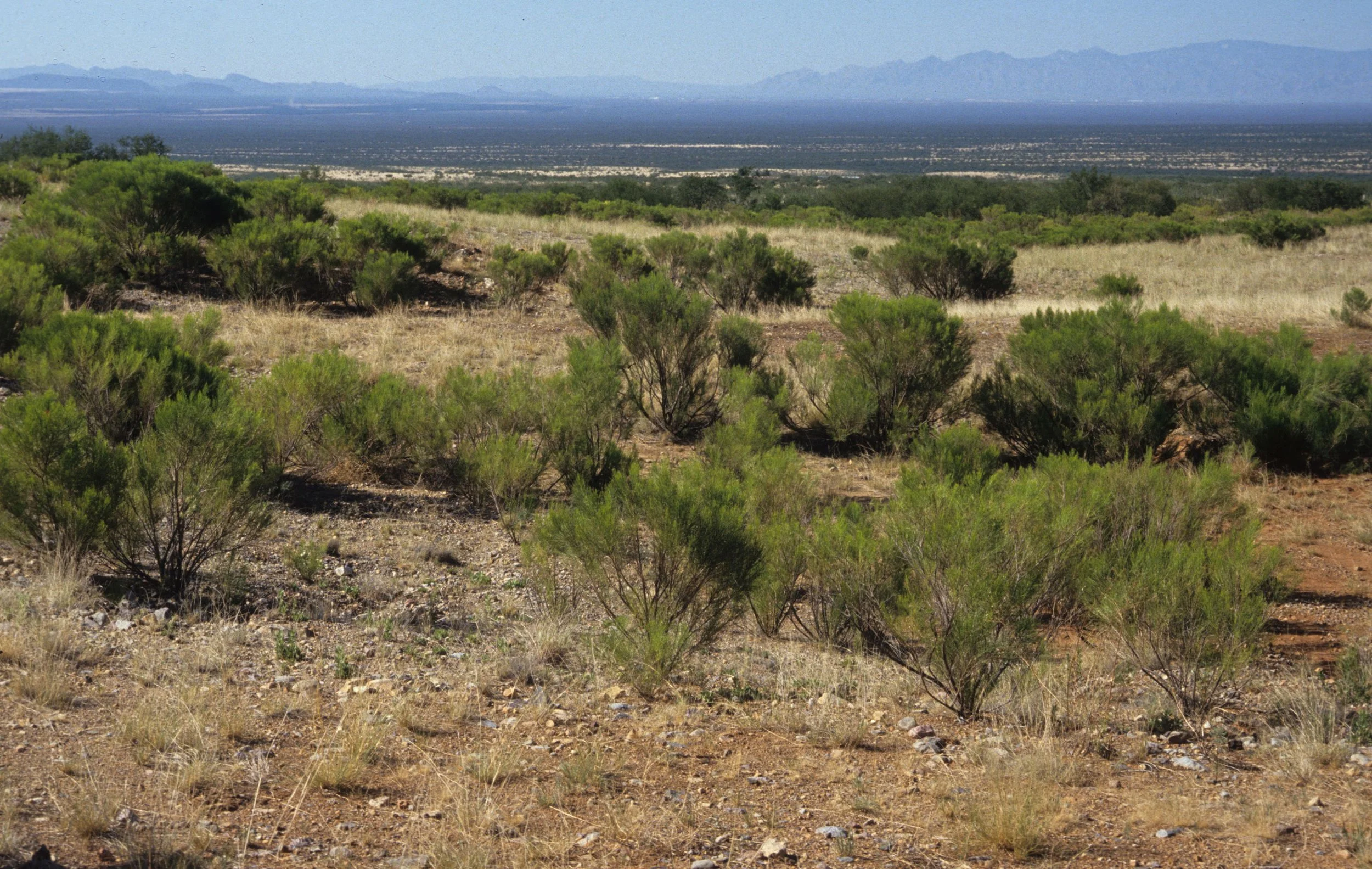 ARIZONA - MADERA CANYON - MISSILE SITE.jpg