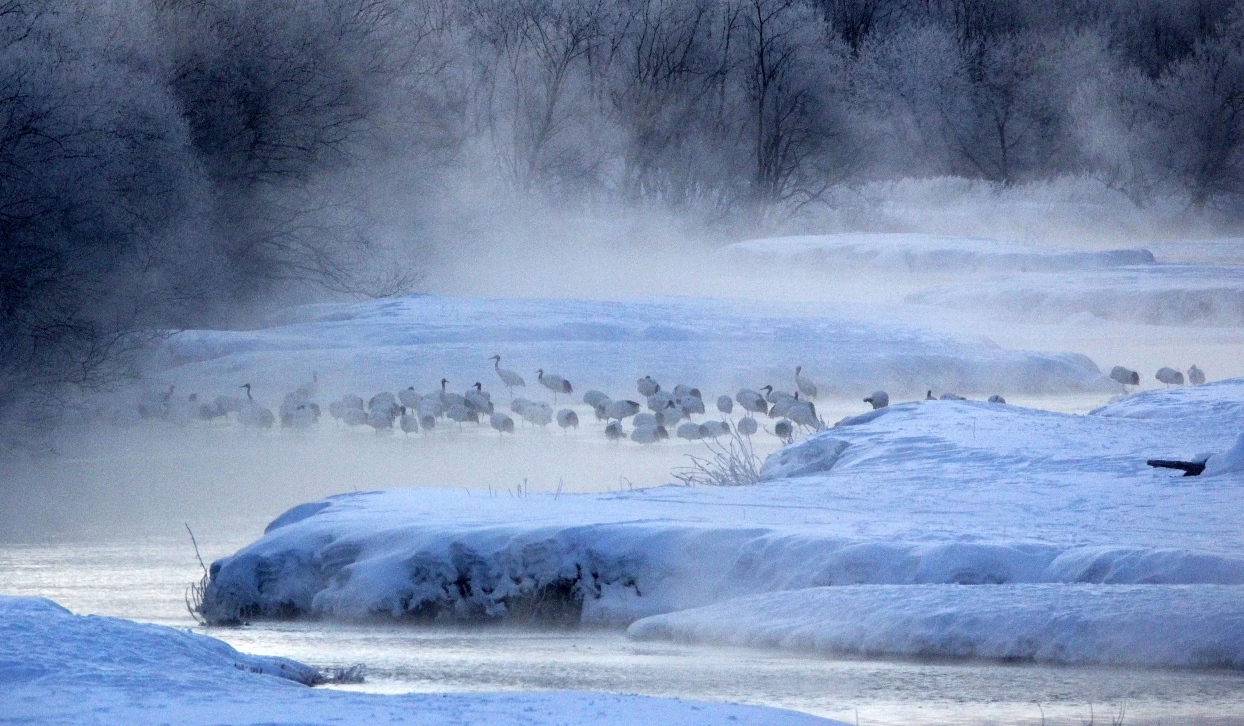 OTOWABASHI SETSUGAWA - TSURUI TOWN - HOKKAIDO JAPAN (33).JPG
