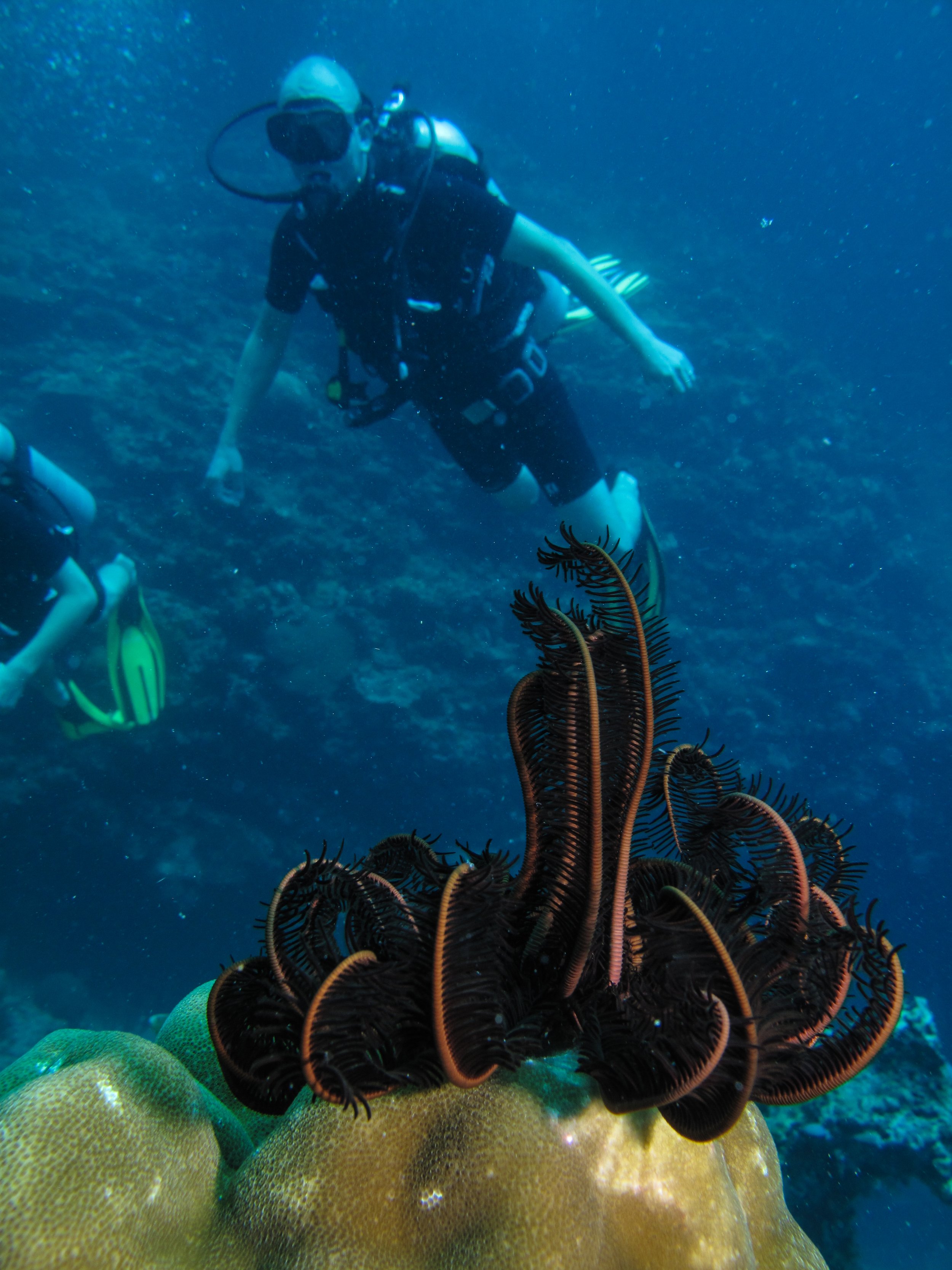 2013 Diving Koh Lanta (26).jpg