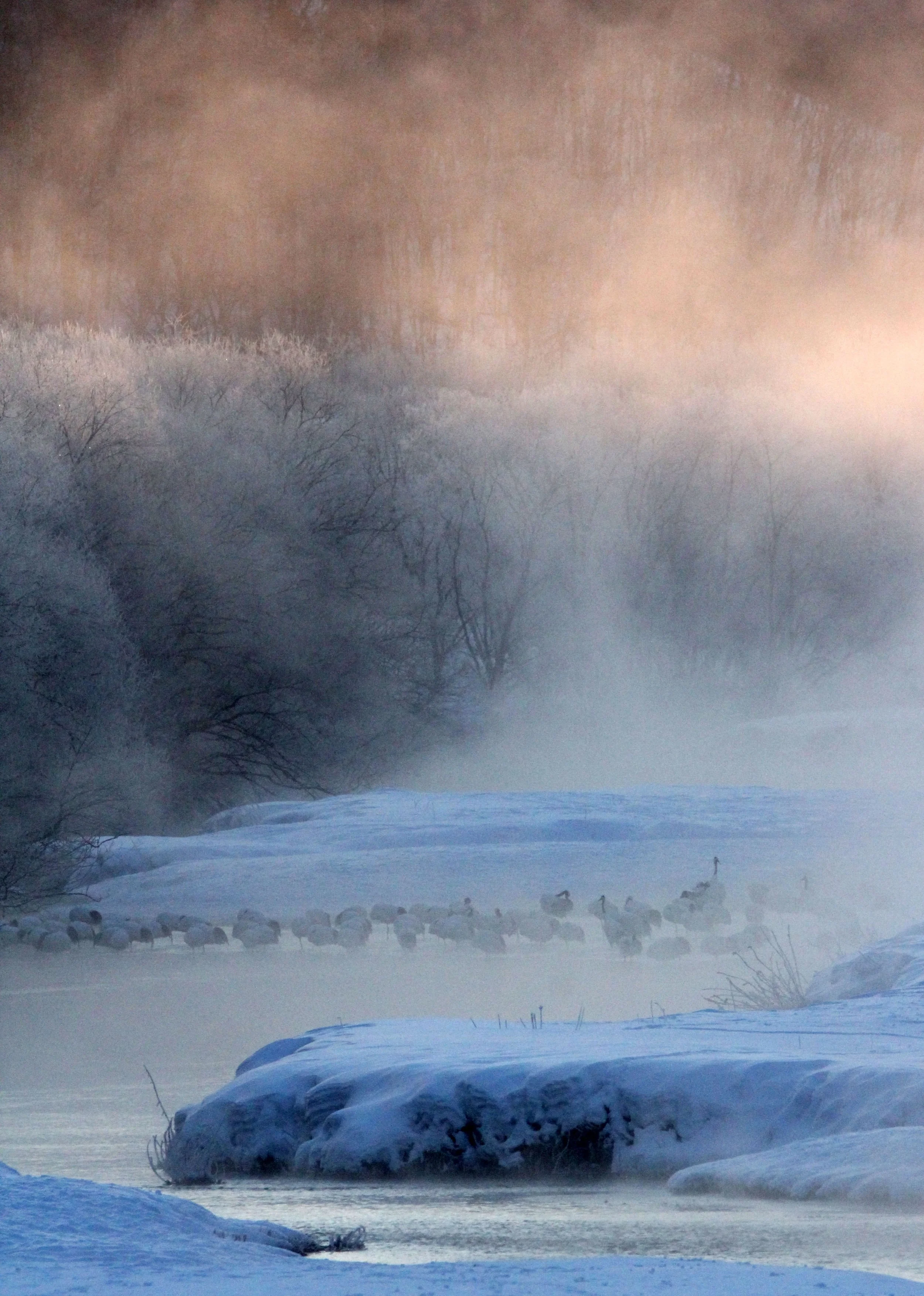 OTOWABASHI SETSUGAWA - TSURUI TOWN - HOKKAIDO JAPAN (26).JPG