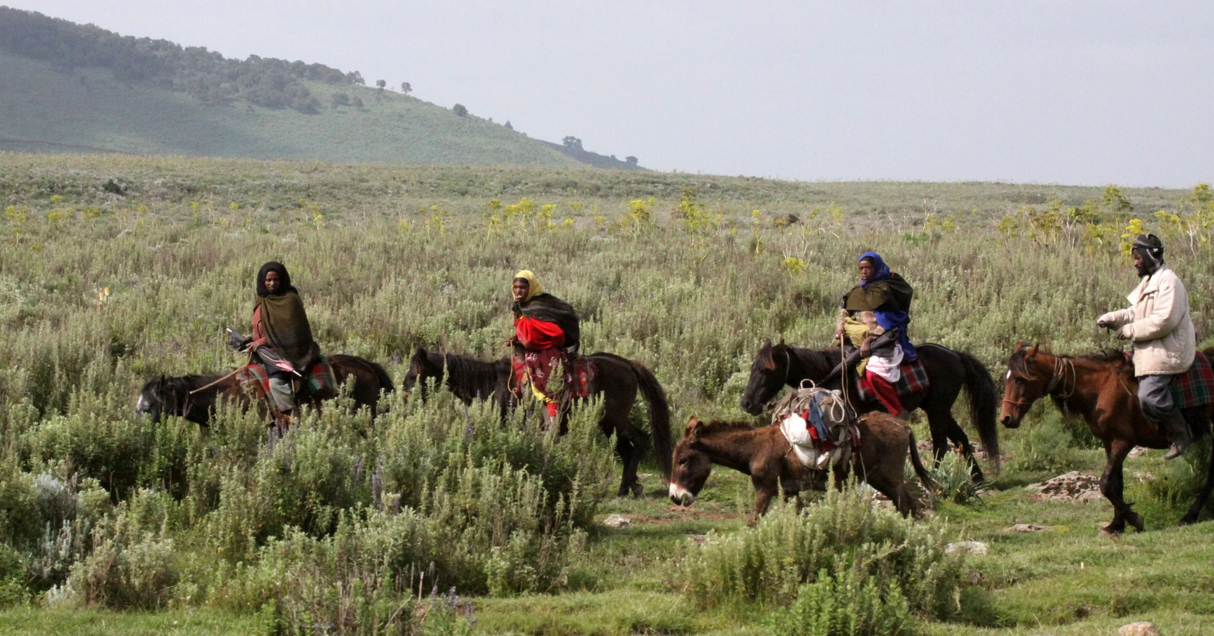 BALE MOUNTAINS NATIONAL PARK ETHIOPIA - GAYSAY GRASSLANDS (18).JPG