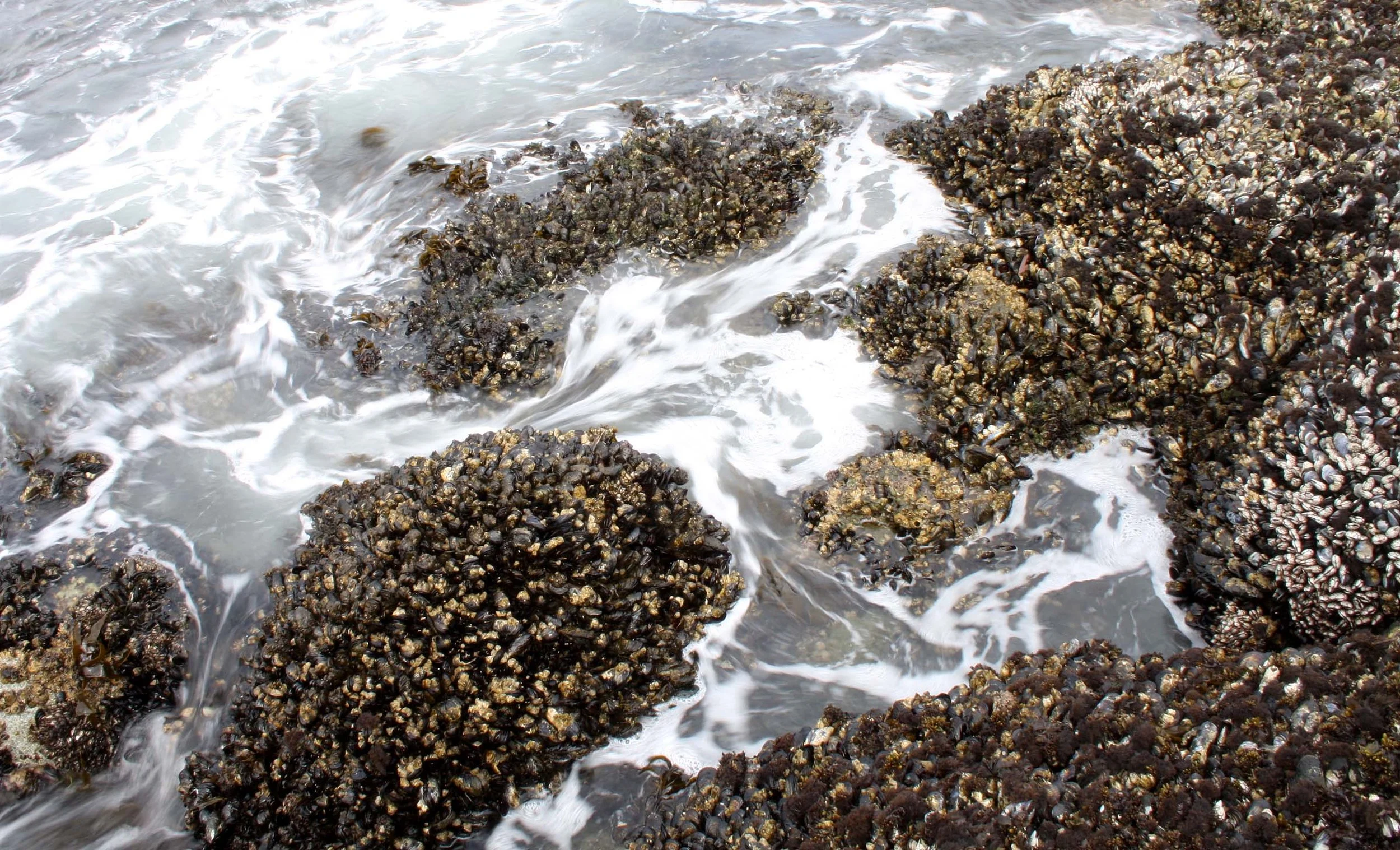 SALT CREEK - SPLASH ZONE (5).JPG