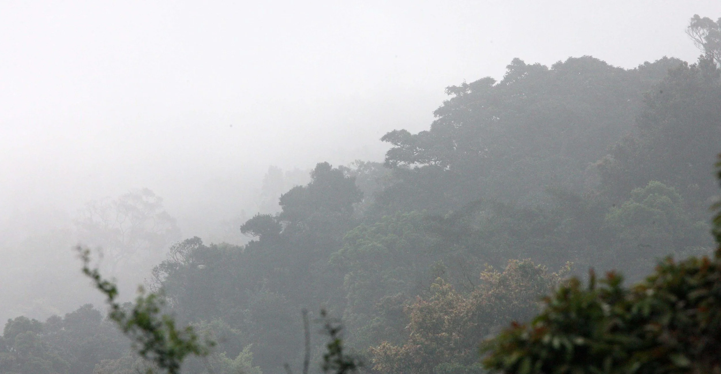 SON TRA PENINSULA DA NANG VIET NAM (1).JPG