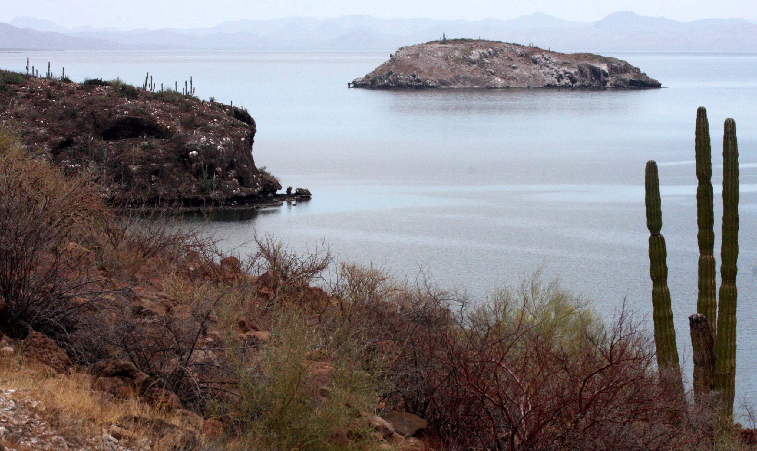 BAHIA CONCEPCION LANDSCAPE - BAJA MEXICO.JPG