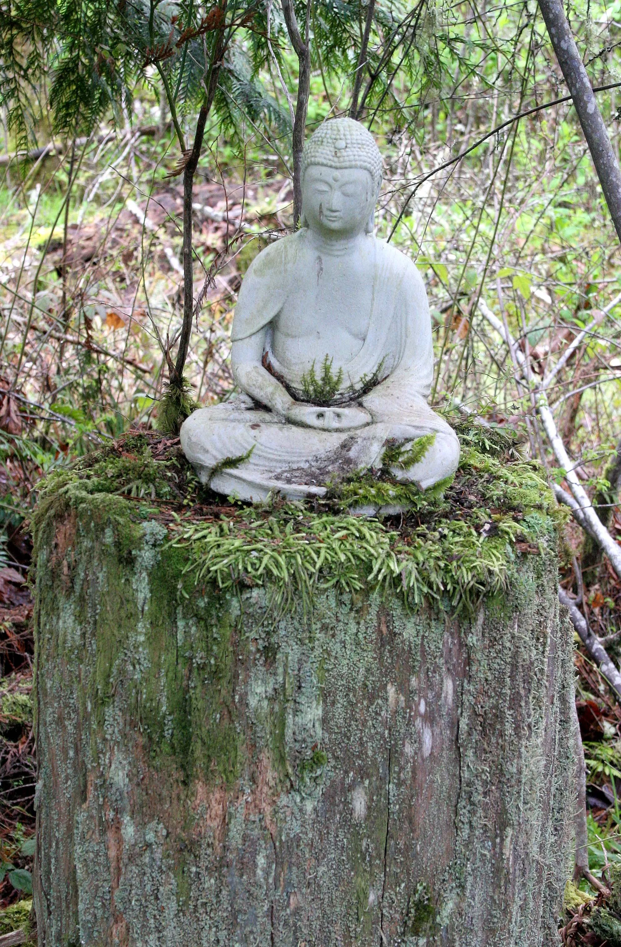 2008-4-19 LAKE FARM TRAILS WALK (31).JPG