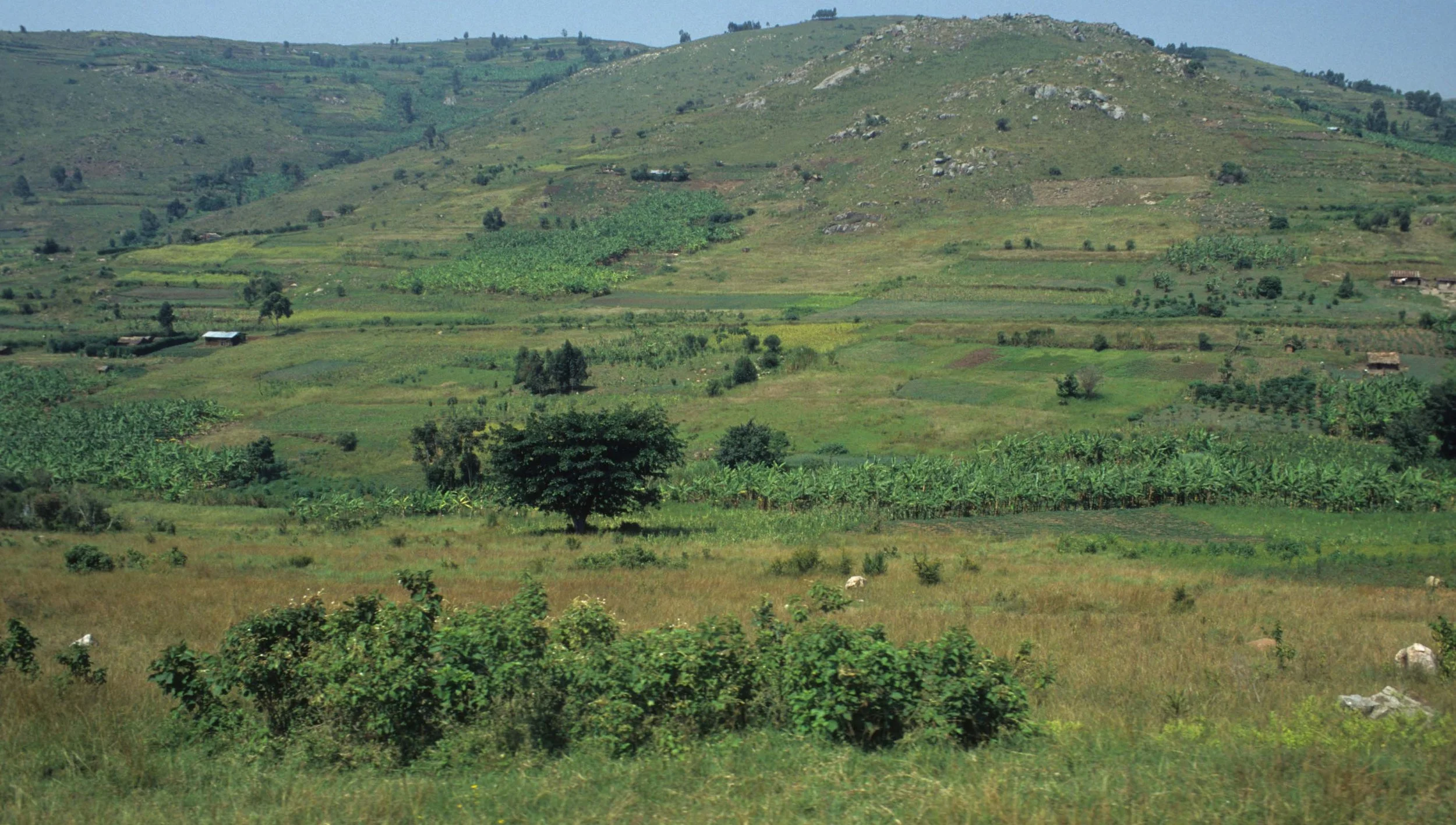 RWANDA COUNTRYSIDE.jpg