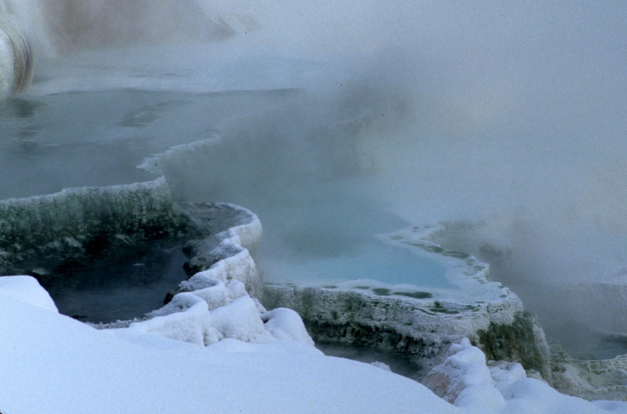 YELLOWSTONE IN WINTER - MAMMOTH HOTSPRINGS G.jpg