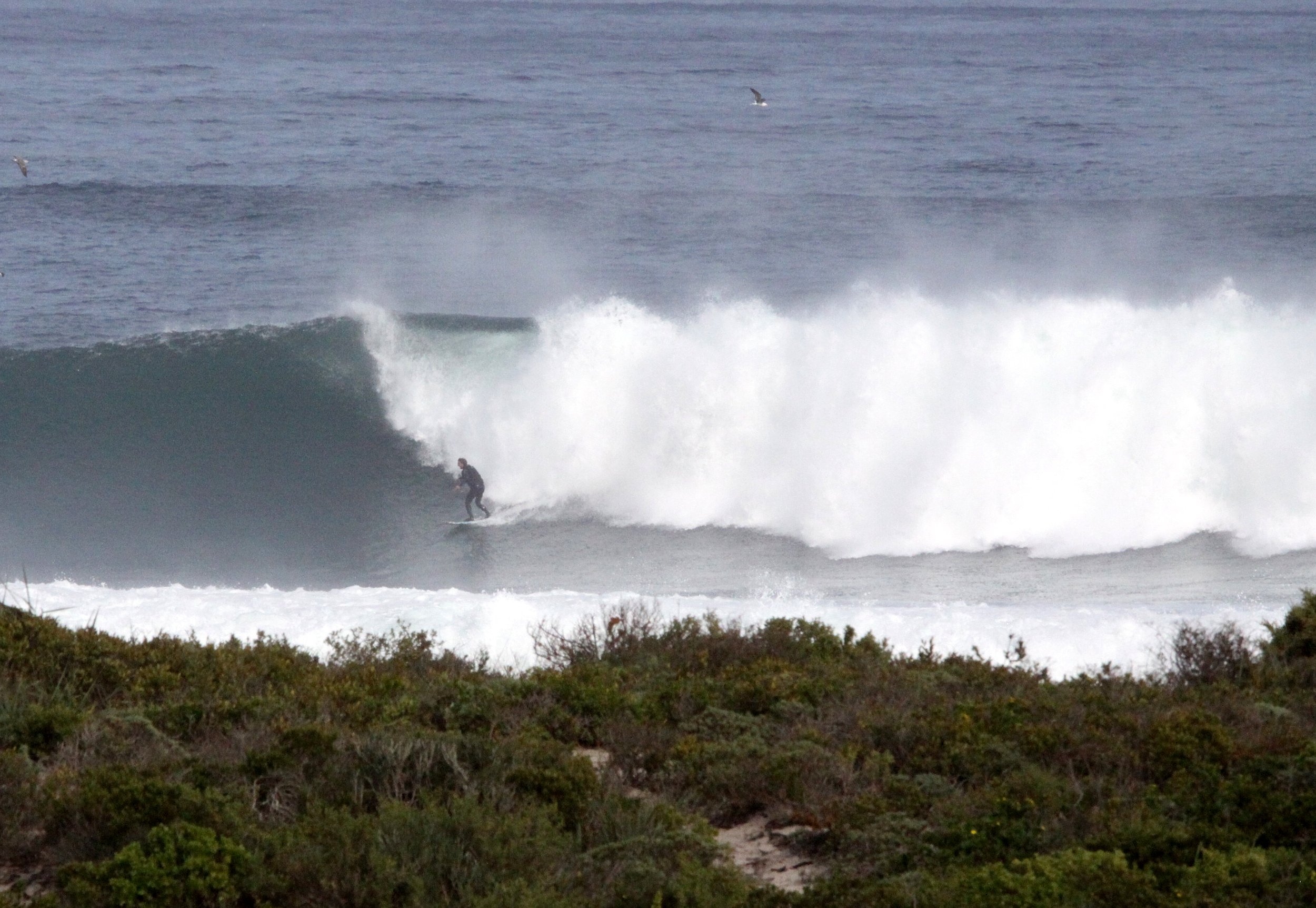 LAMBERT'S BAY SOUTH AFRICA - SURF'S UP! (9).JPG